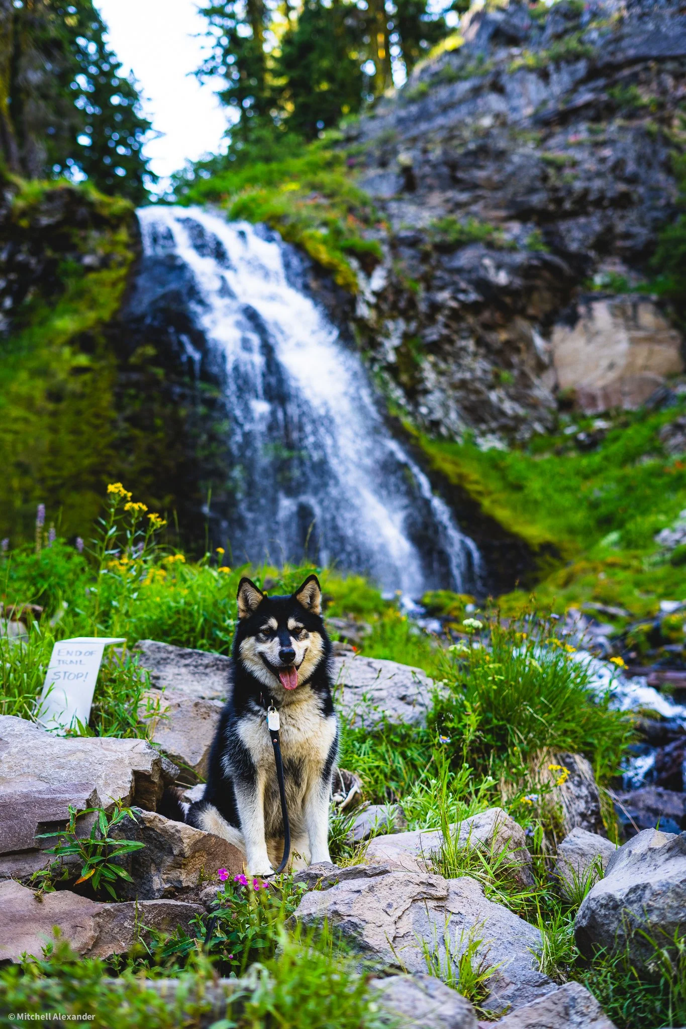 _DSC9140.jpg