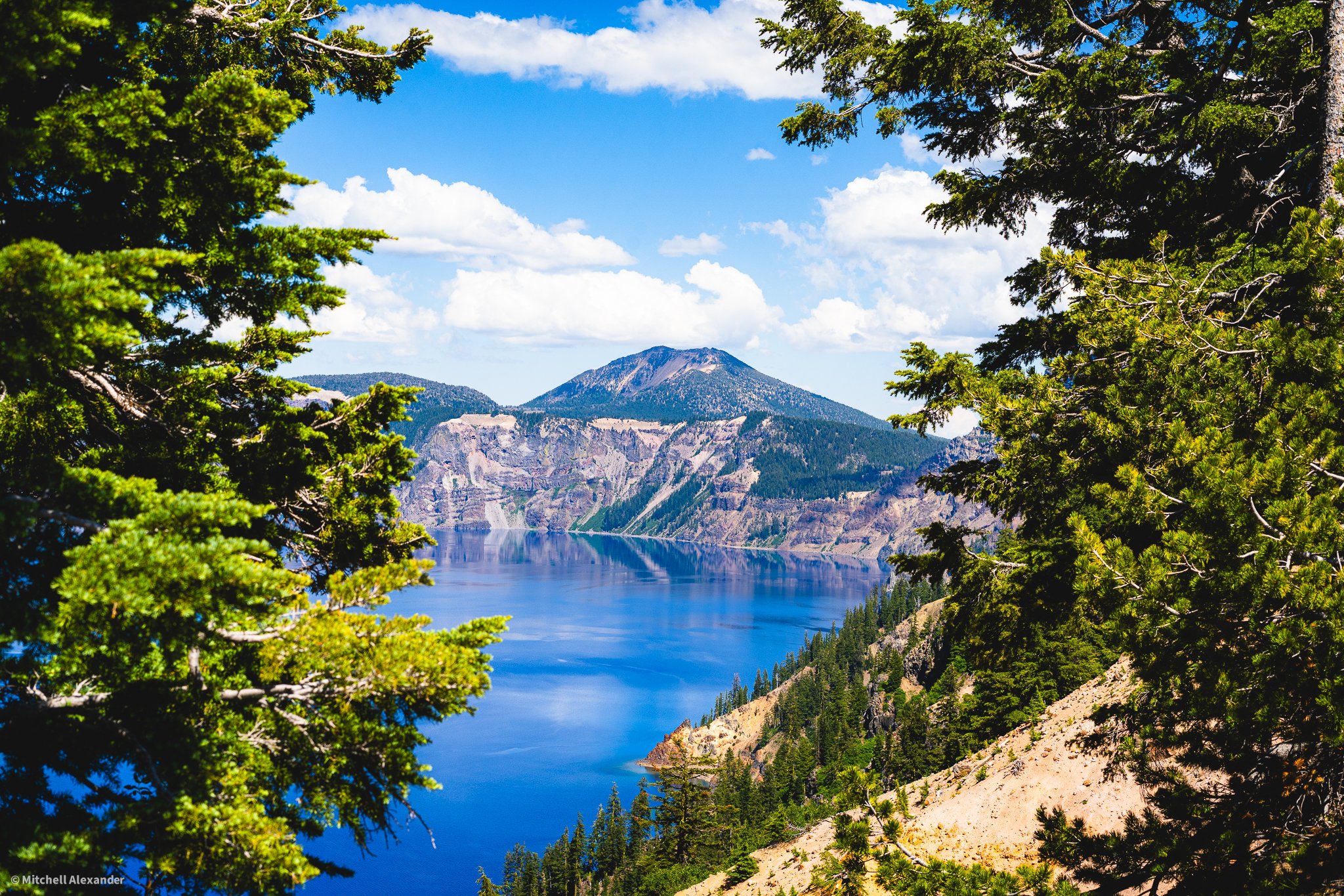 _DSC9119.jpg