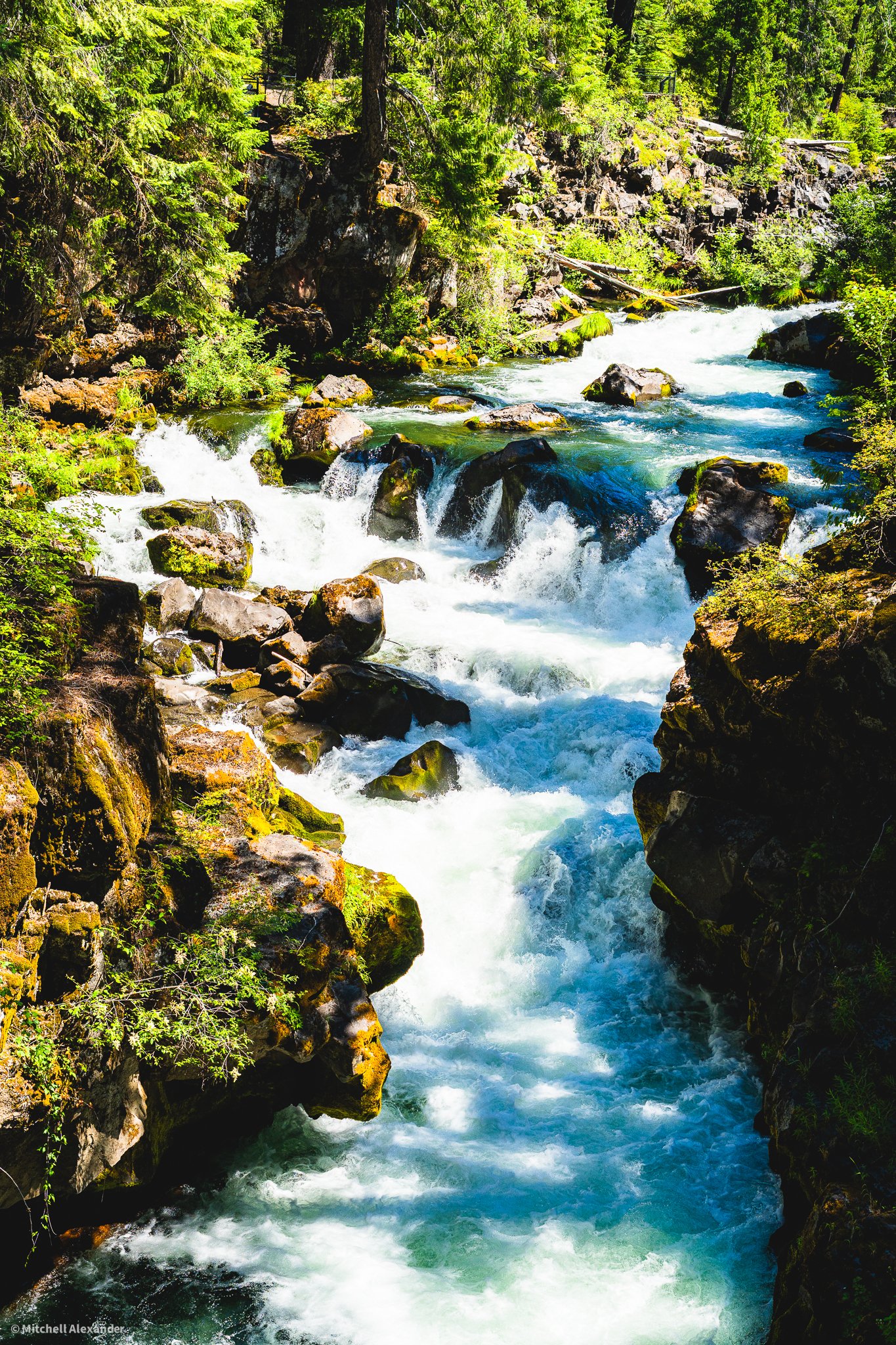 _DSC9097.jpg