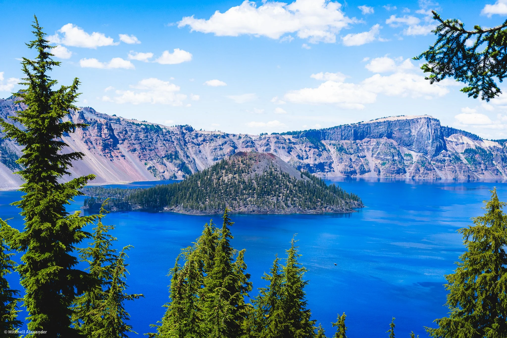 _DSC9118.jpg
