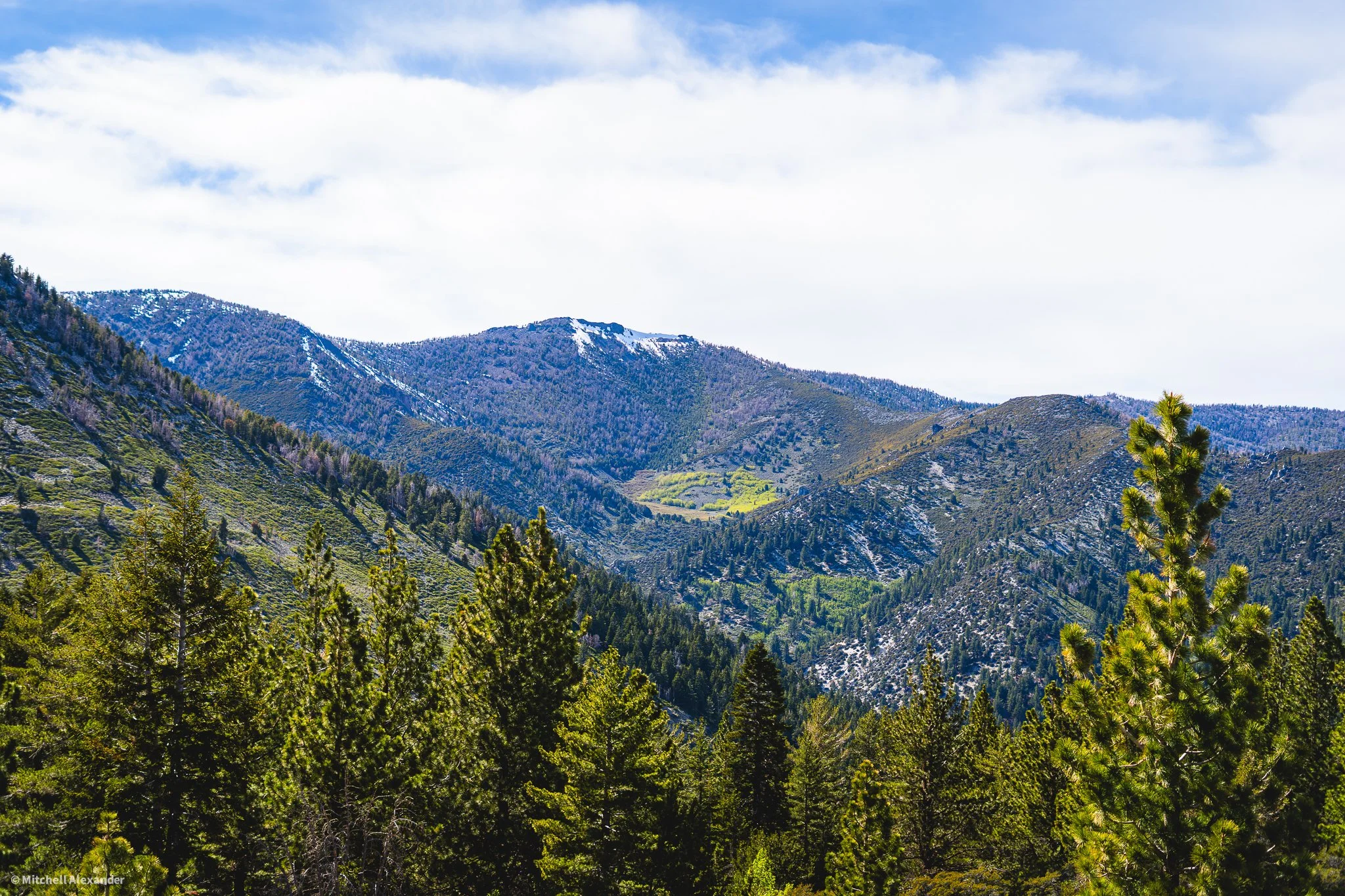 _DSC8924.jpg