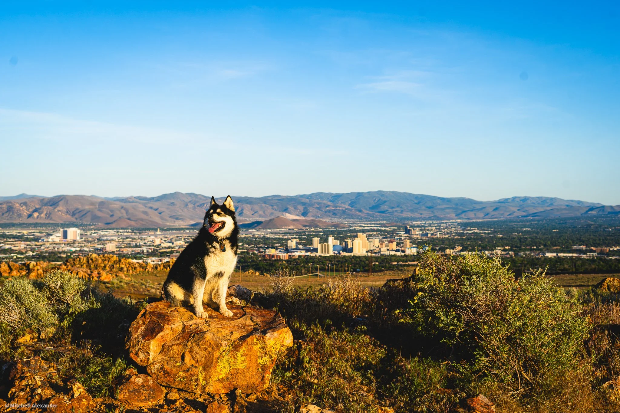 _DSC8888.jpg