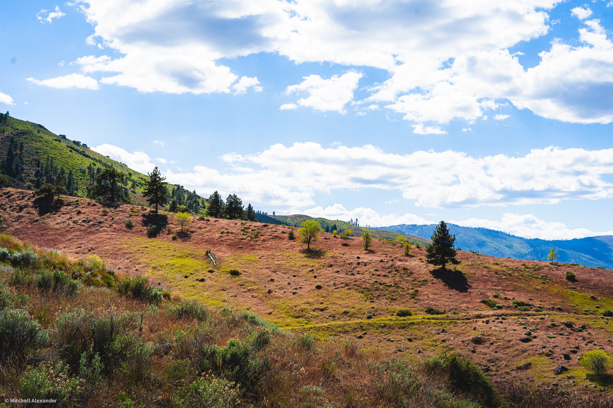 _DSC8930.jpg