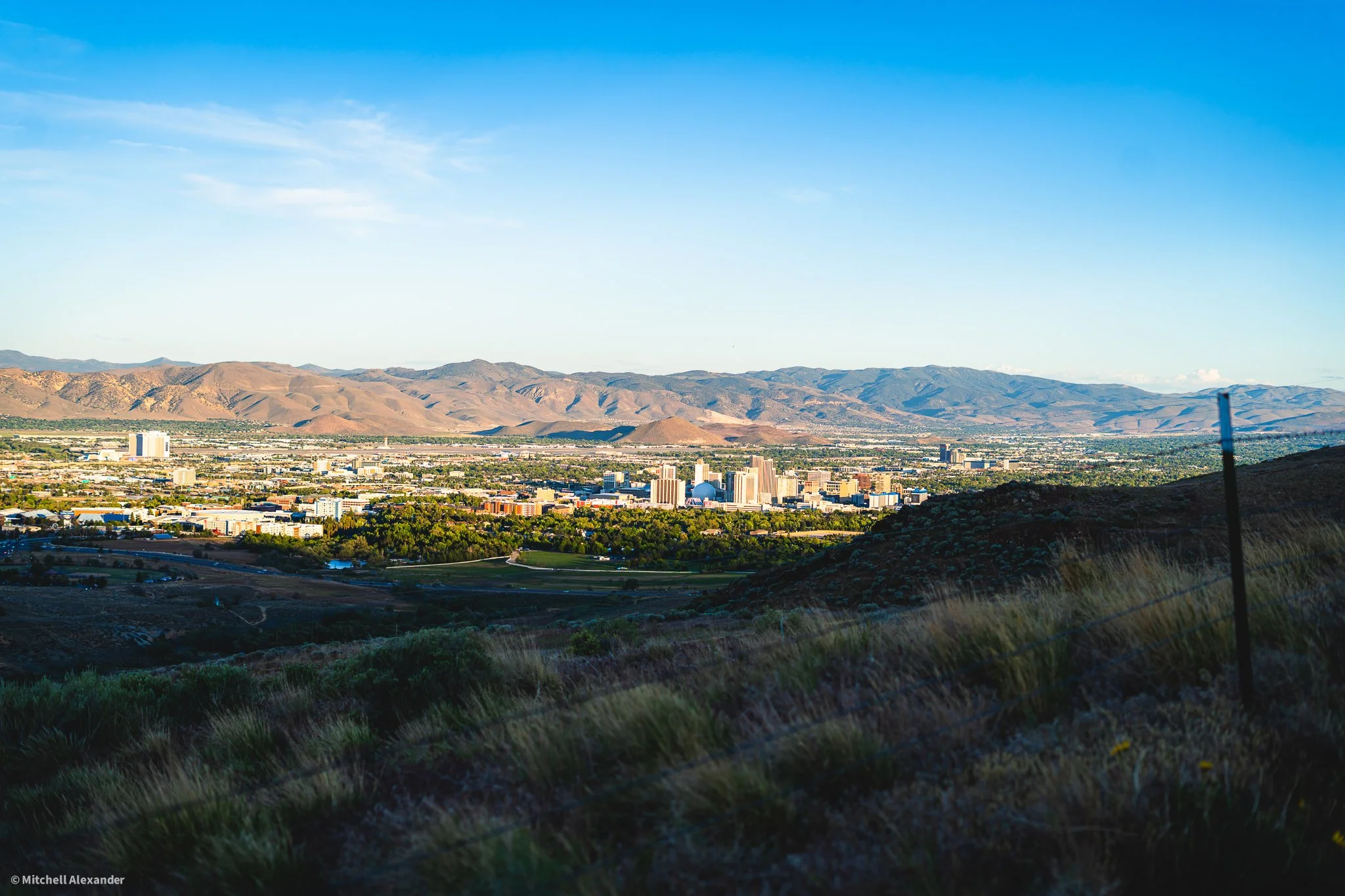 _DSC8903.jpg