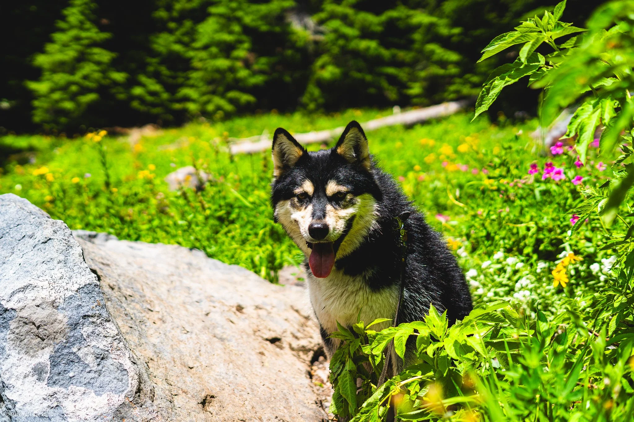 _DSC9106.jpg