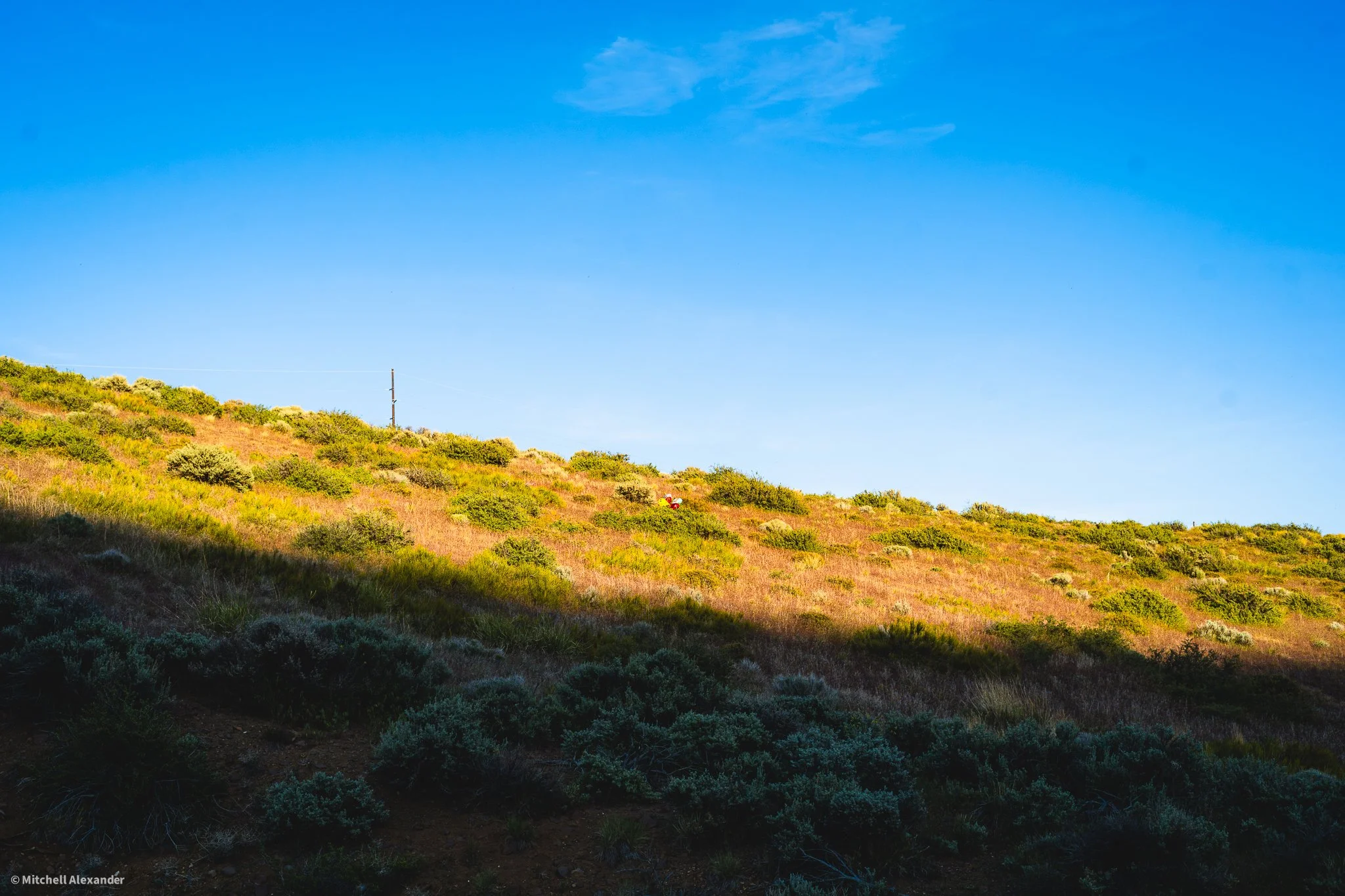_DSC8887.jpg
