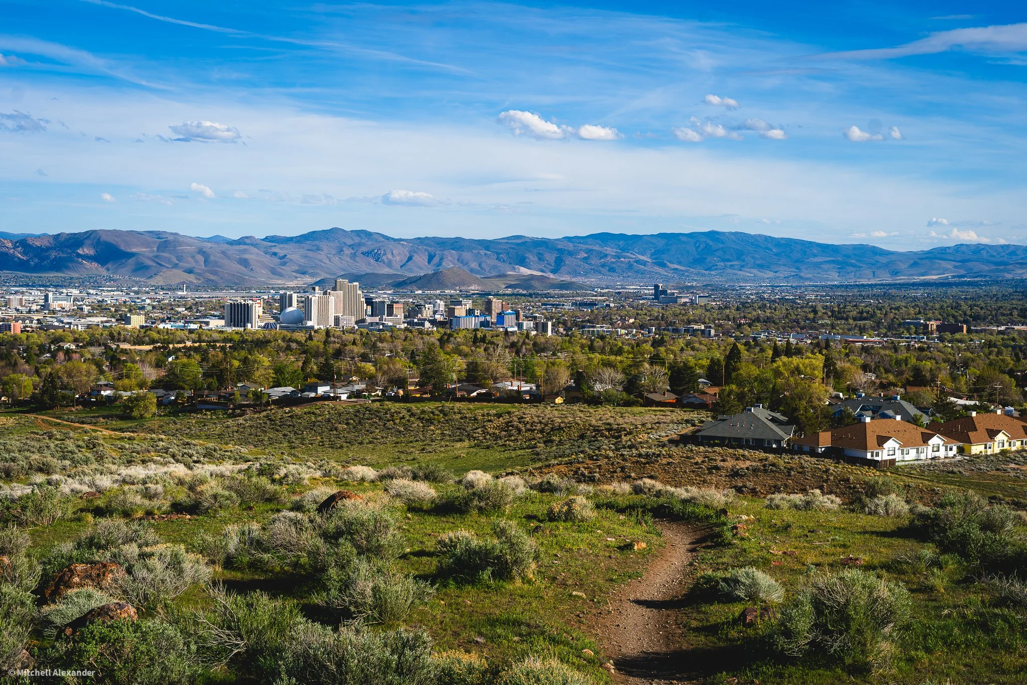 _DSC8857.jpg