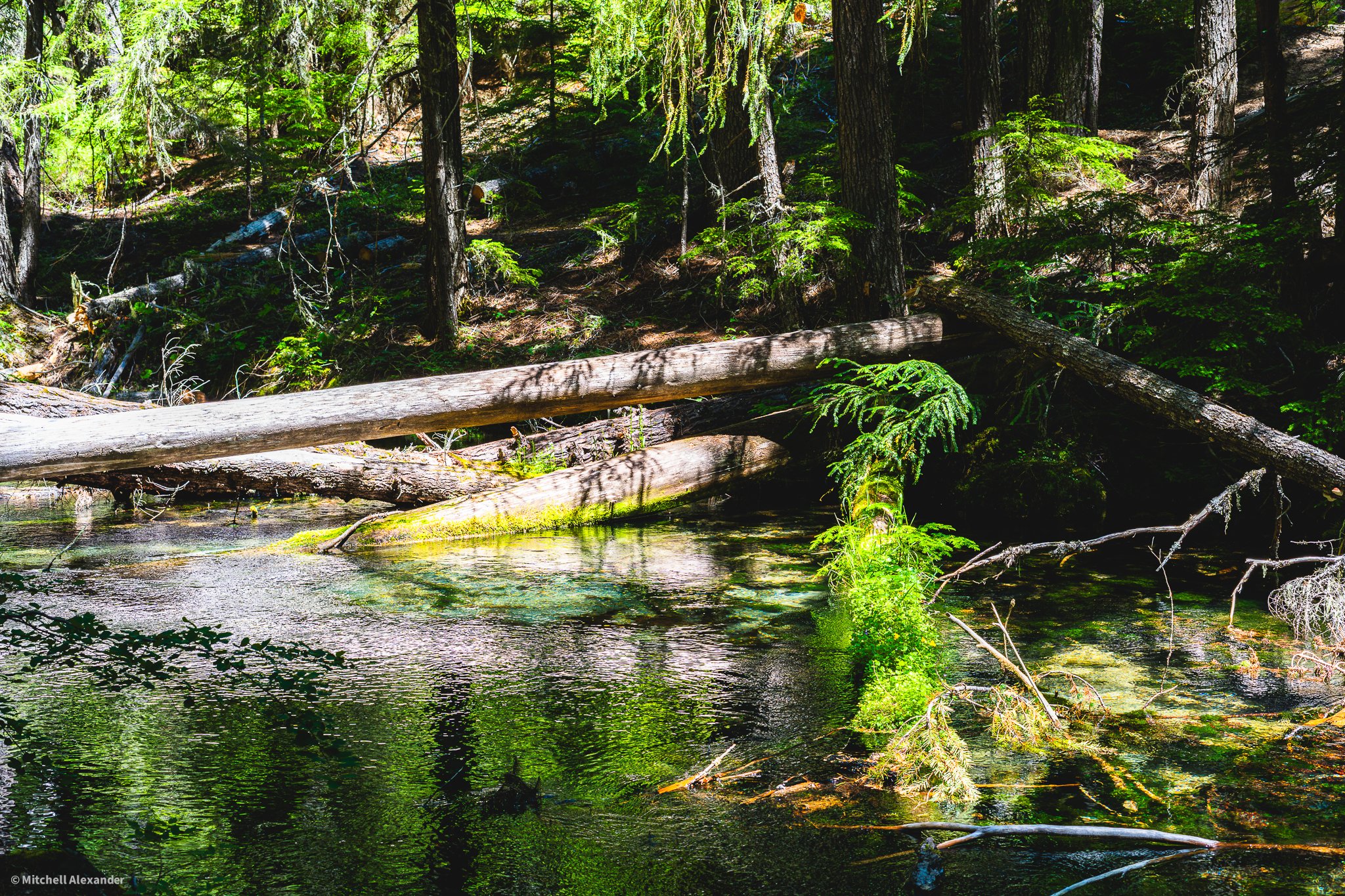 _DSC9175.jpg