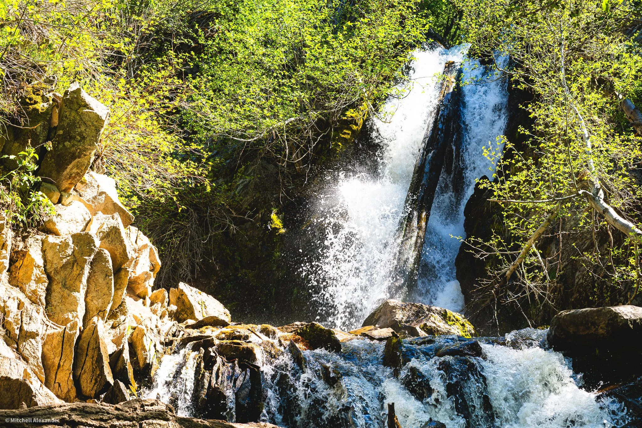 _DSC8899.jpg