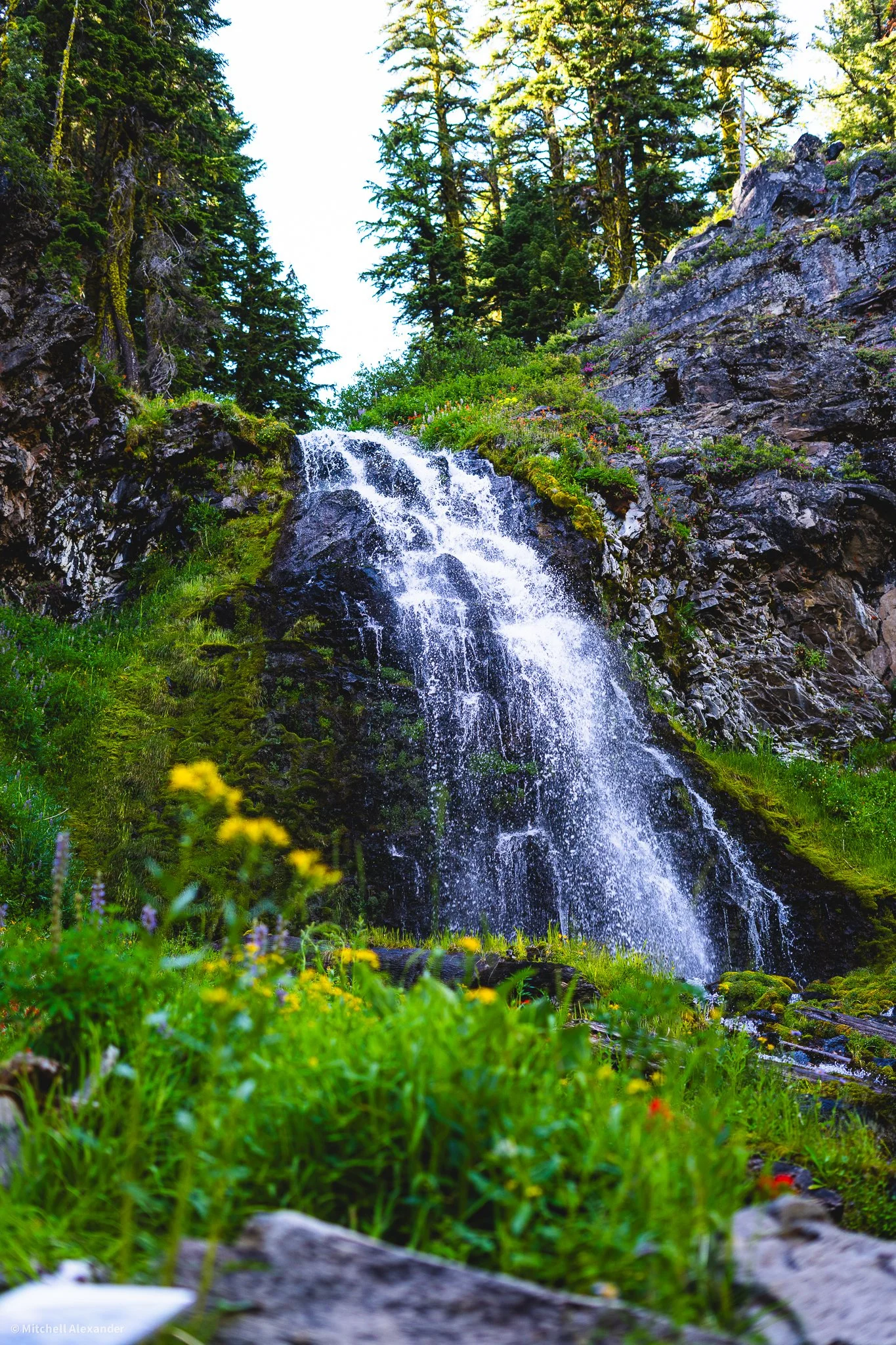 _DSC9138.jpg