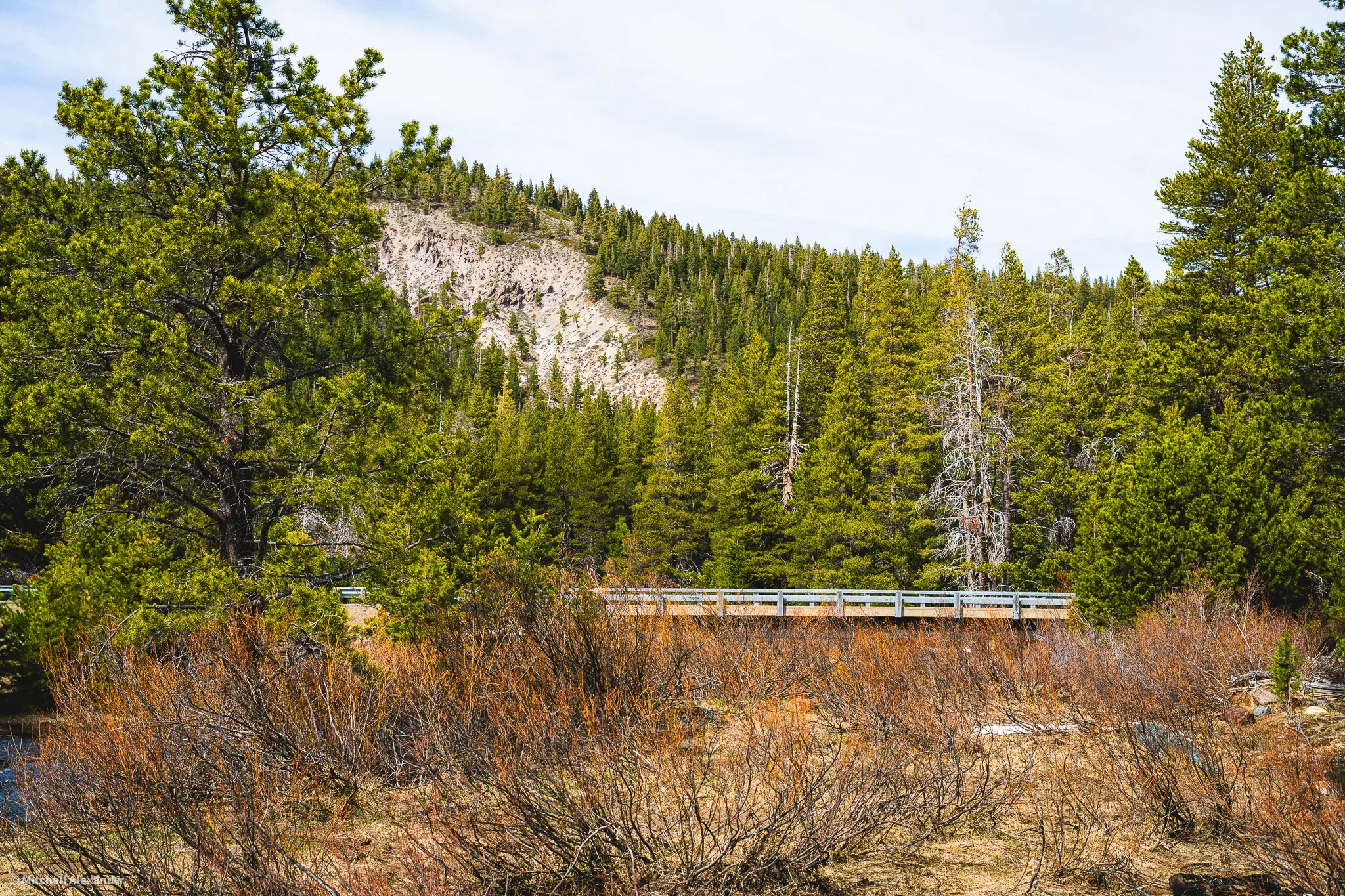 _DSC8845.jpg