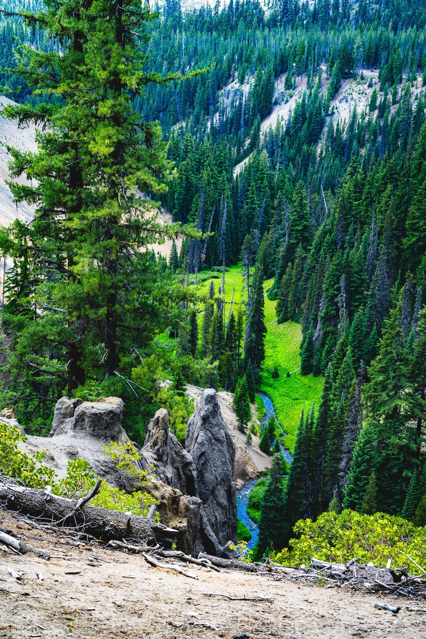 _DSC9101.jpg