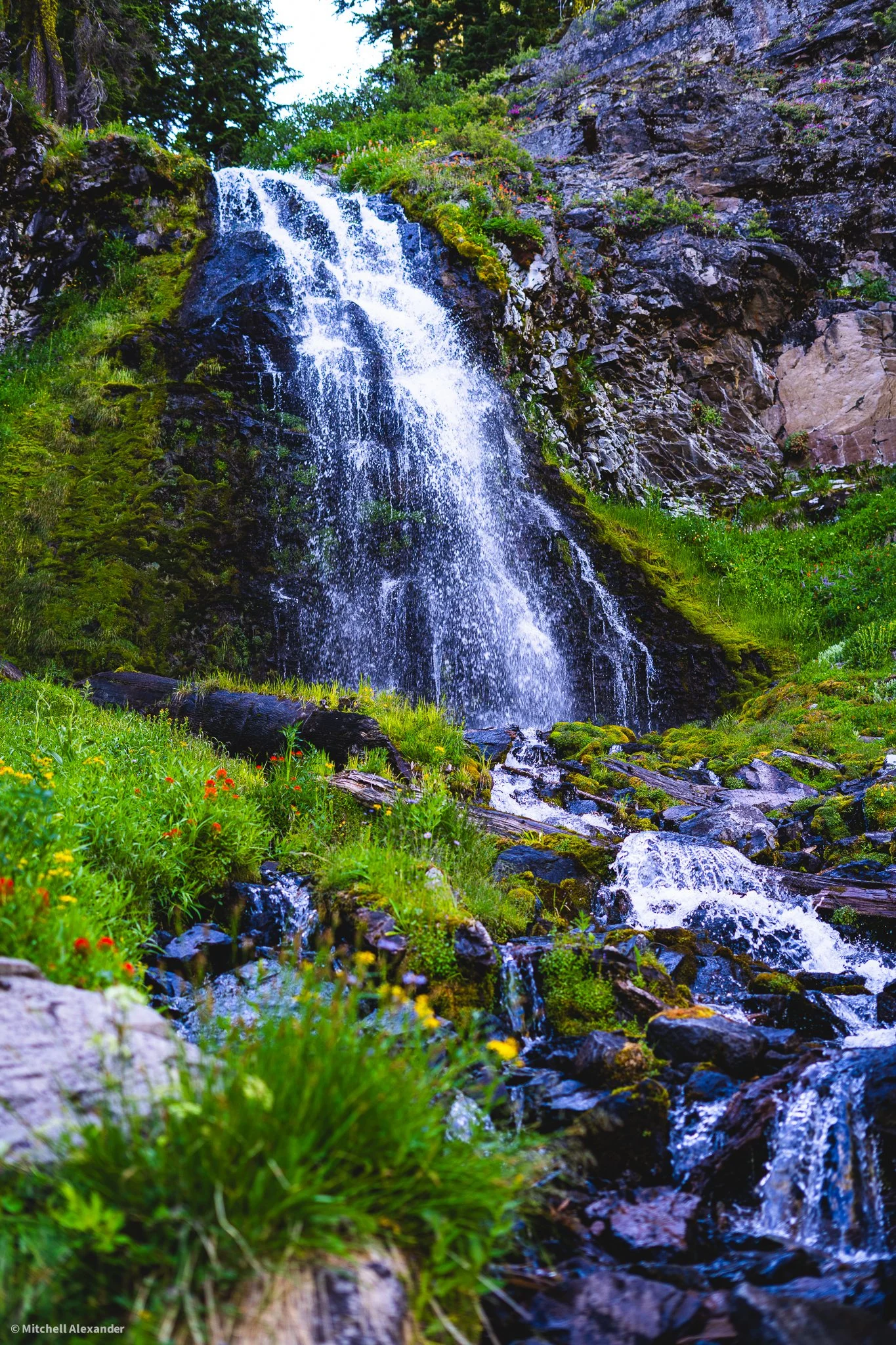 _DSC9142.jpg