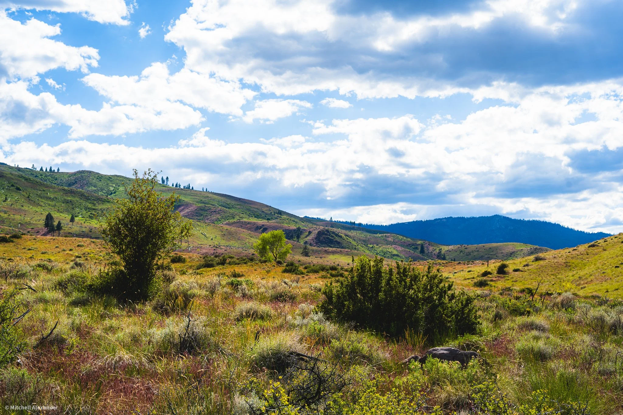 _DSC8944.jpg