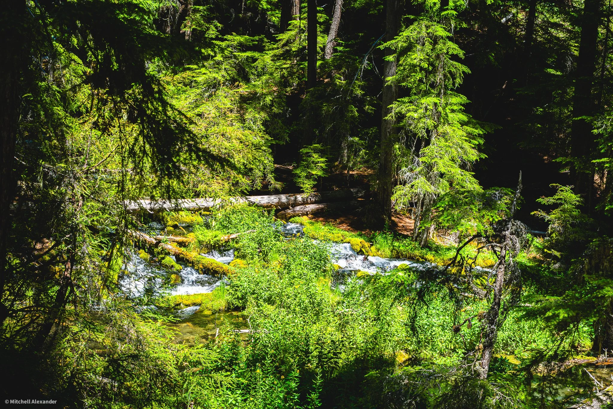 _DSC9176.jpg