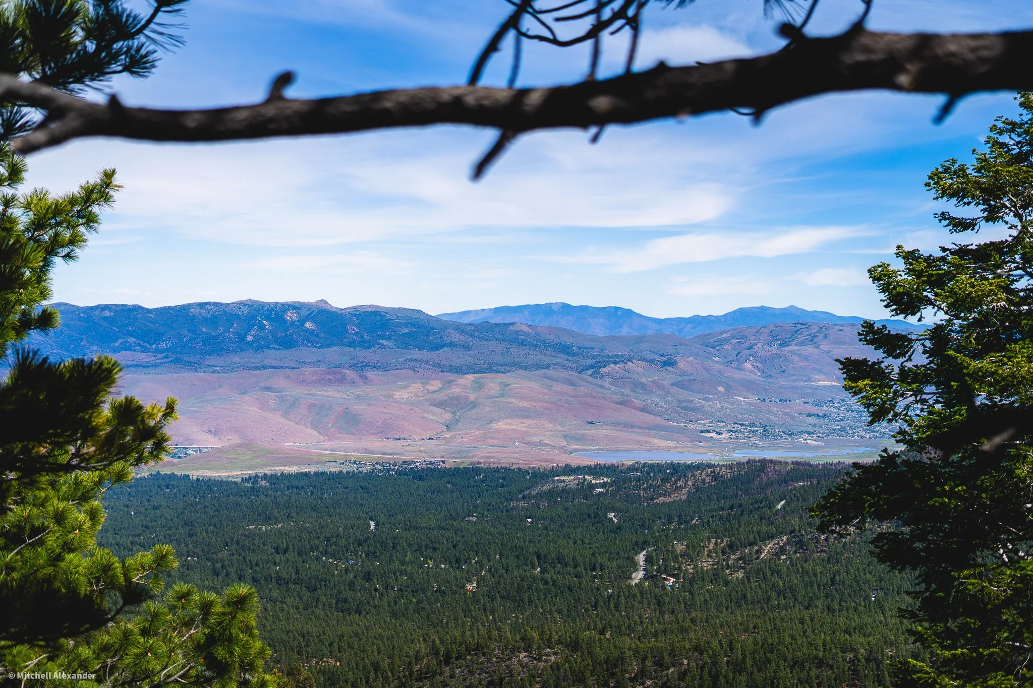 _DSC8904.jpg