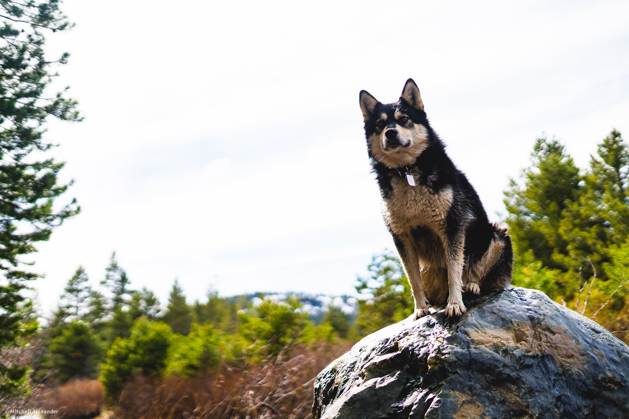 _DSC8853.jpg