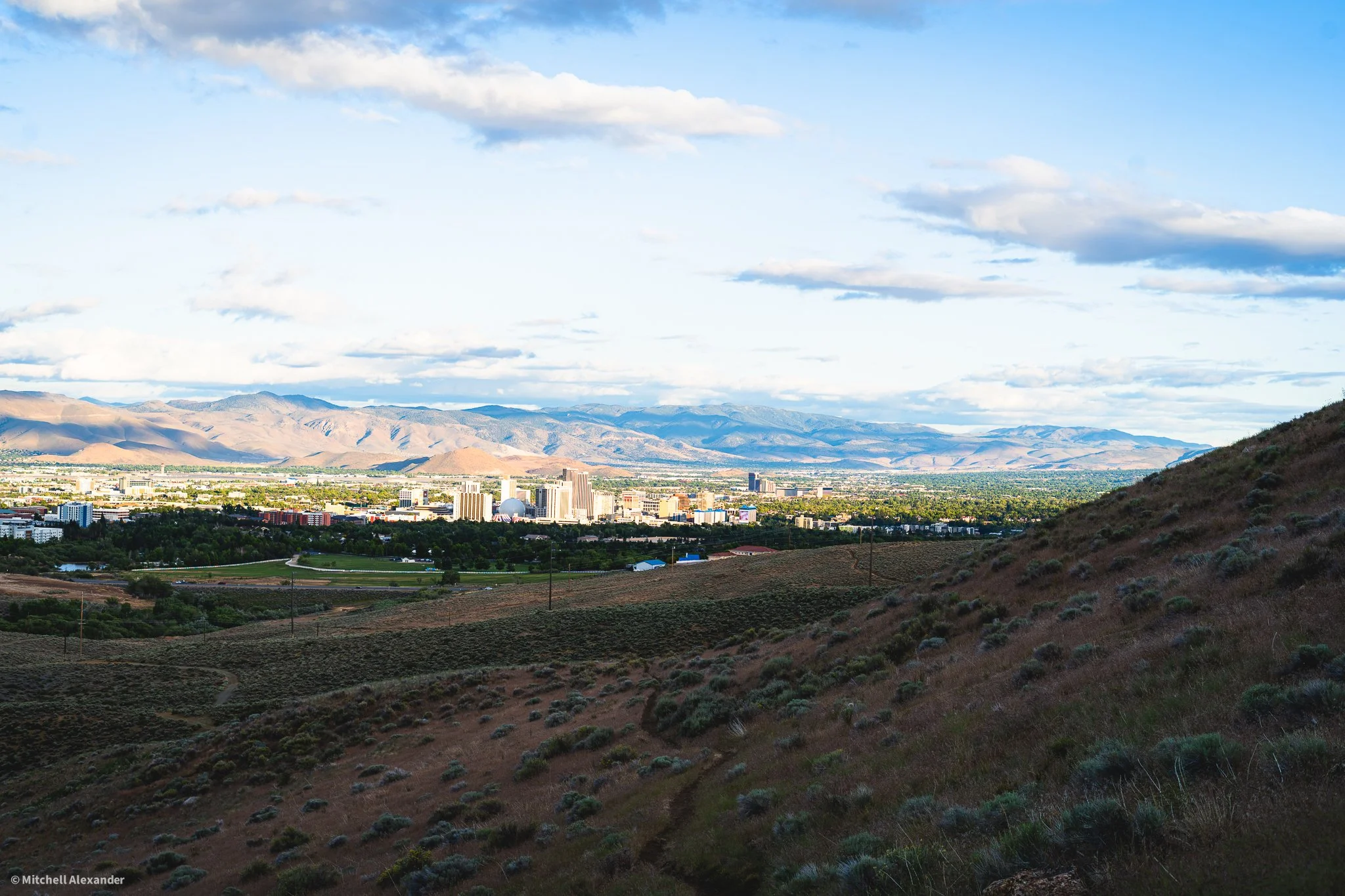 _DSC8988.jpg