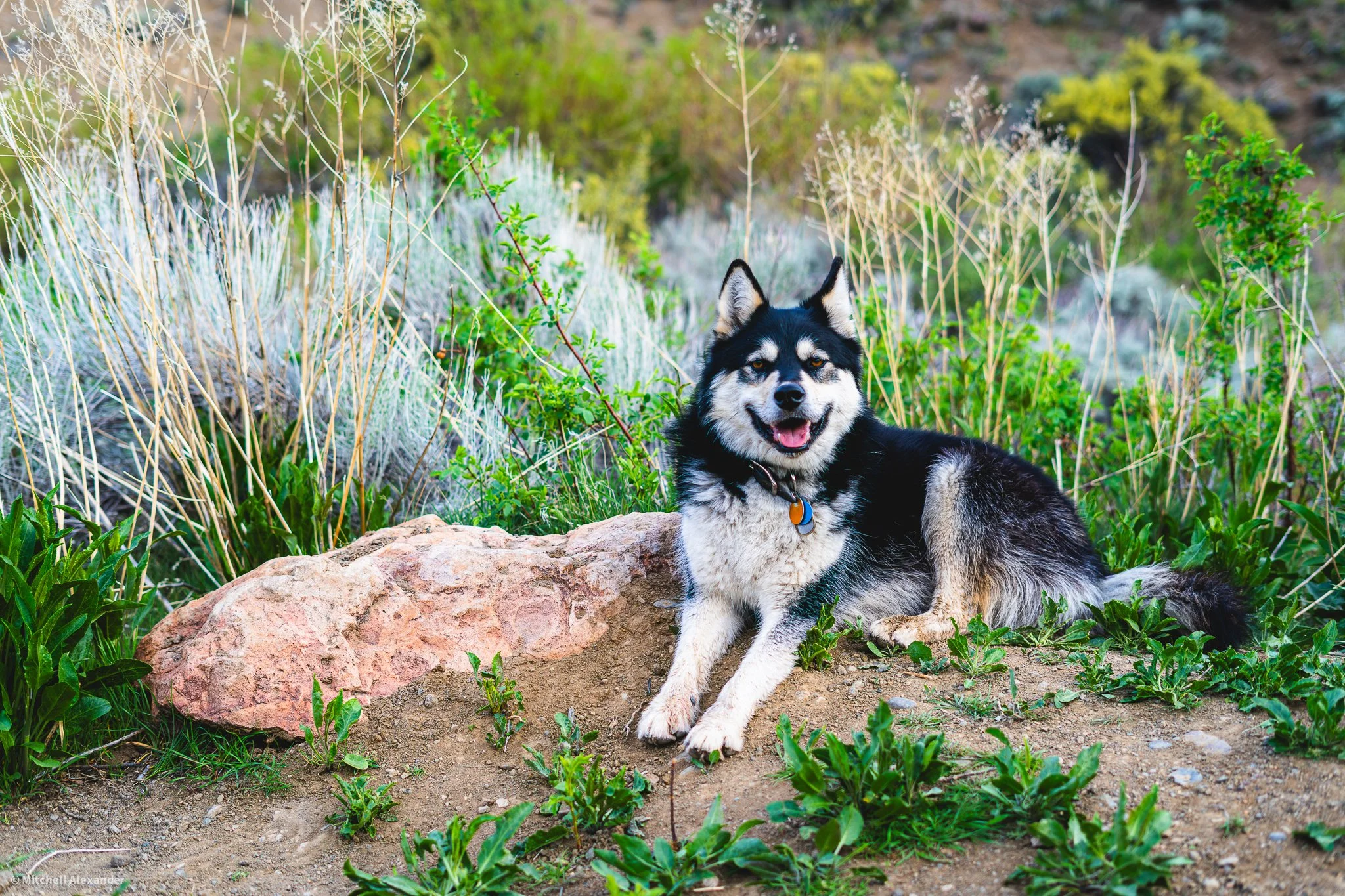 _DSC8868.jpg