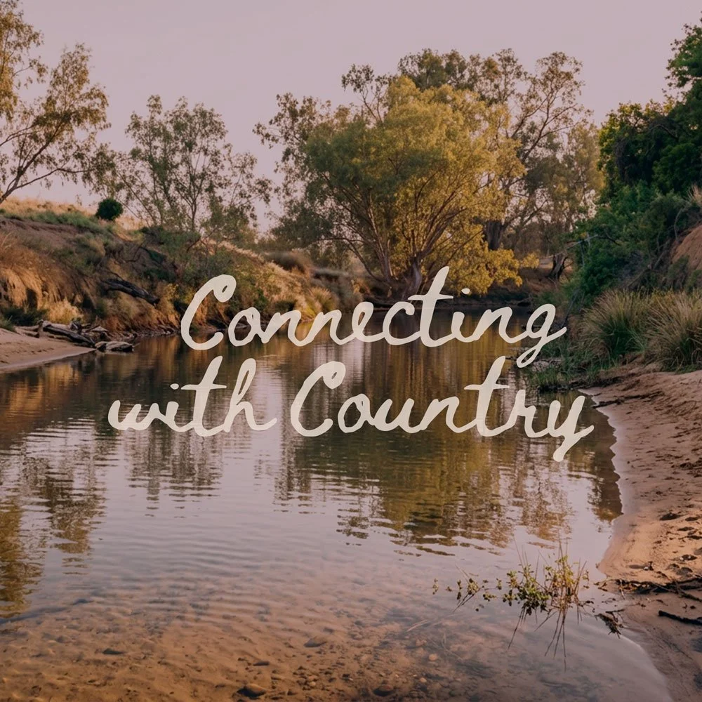 Indigenuity Lab | Aboriginal Consulting Services | Australia
