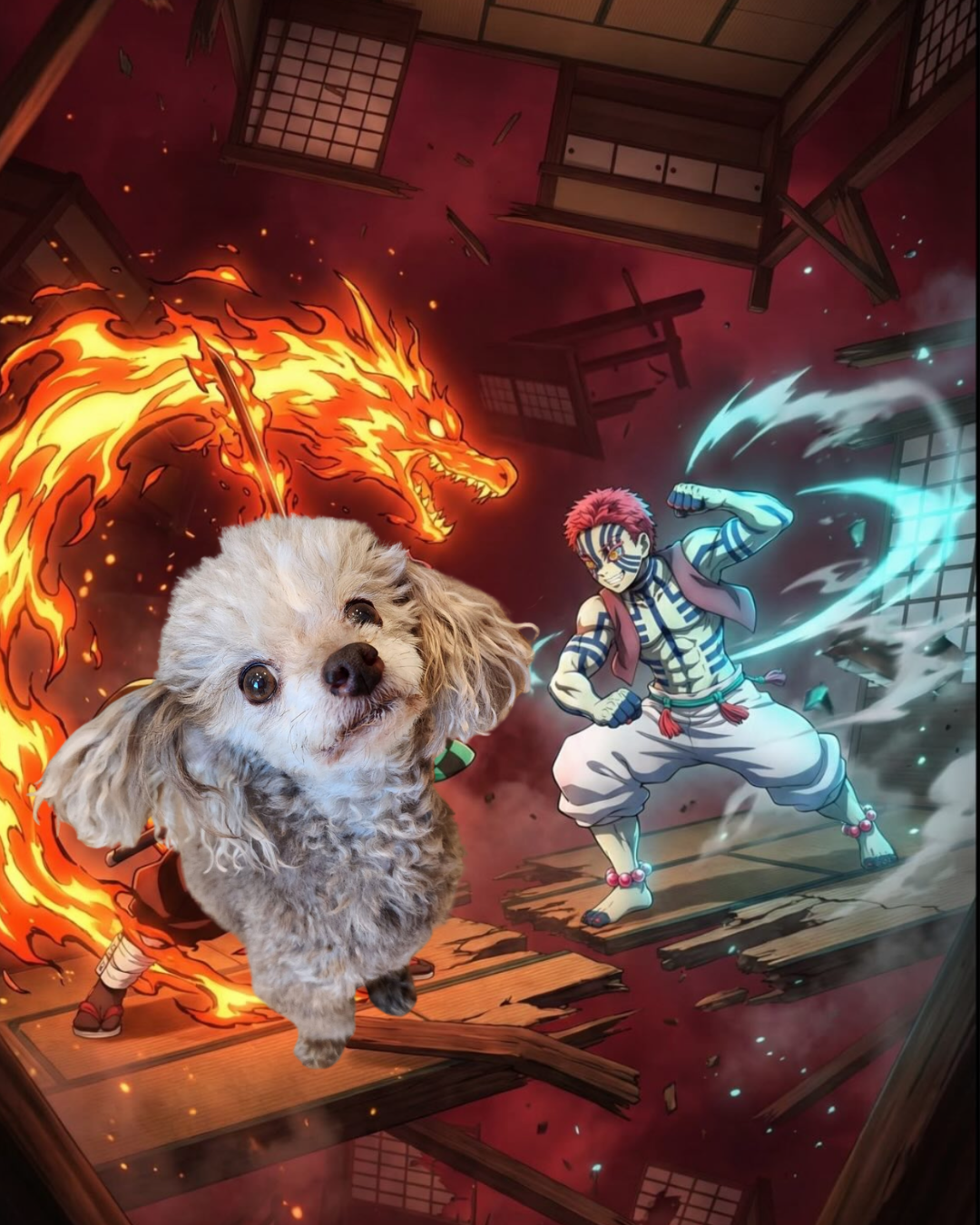 5 reasons my dog could defeat akaza