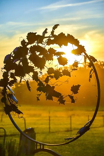 You are my Sunshine.jpeg