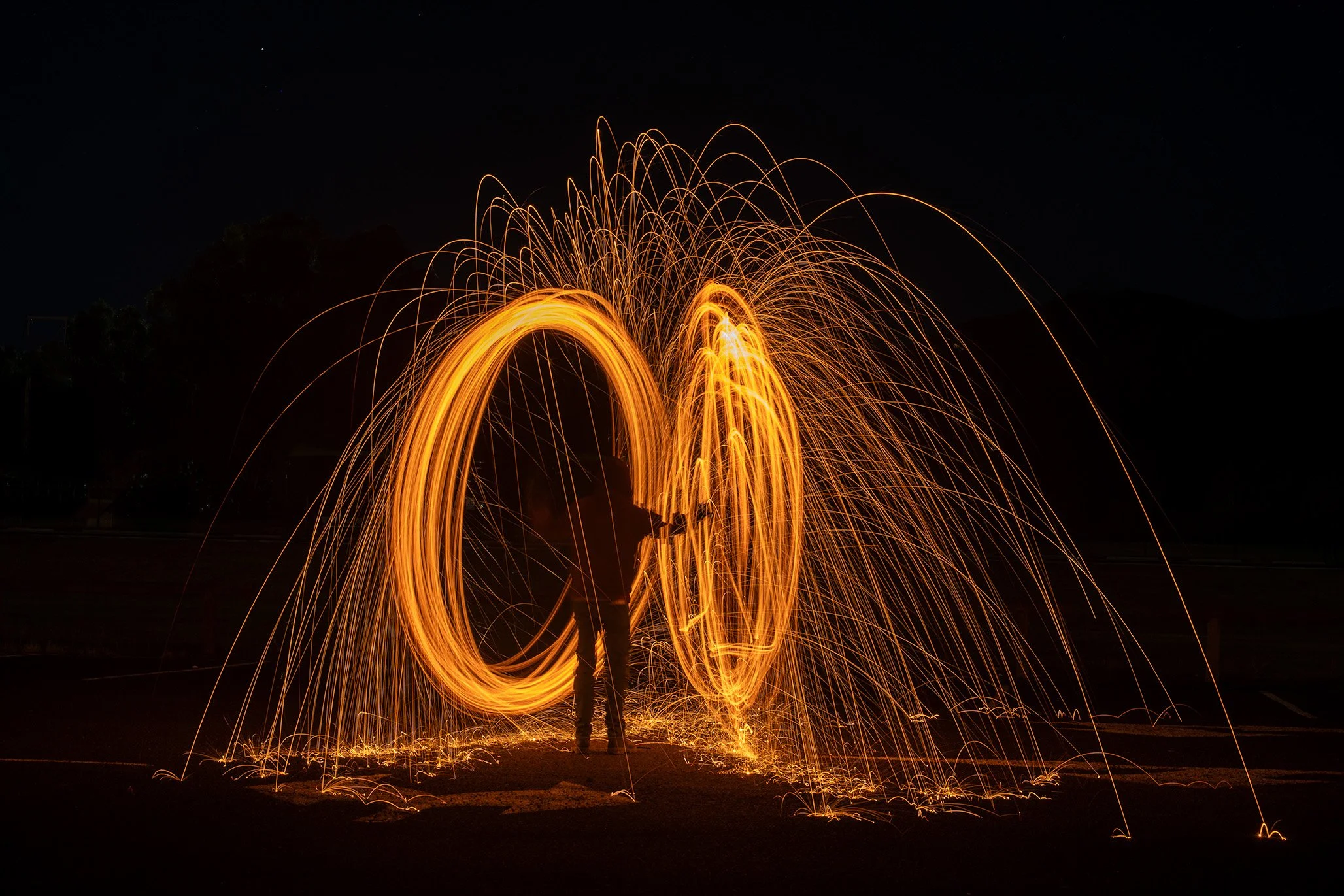 DSC_2532.jpg Light P.JPG