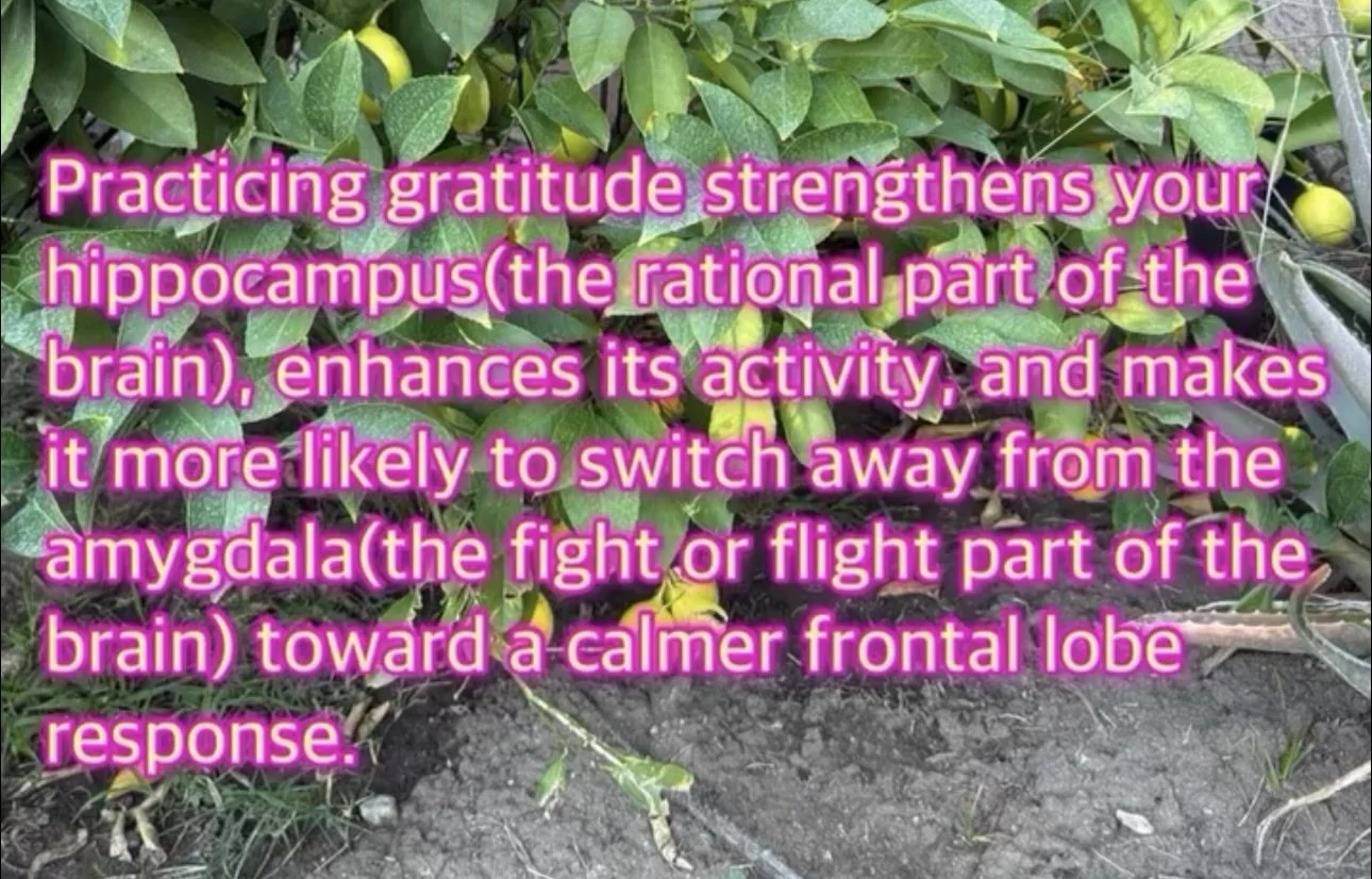 “Attitude of Gratitude”