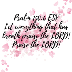 Reflections &amp; Praise