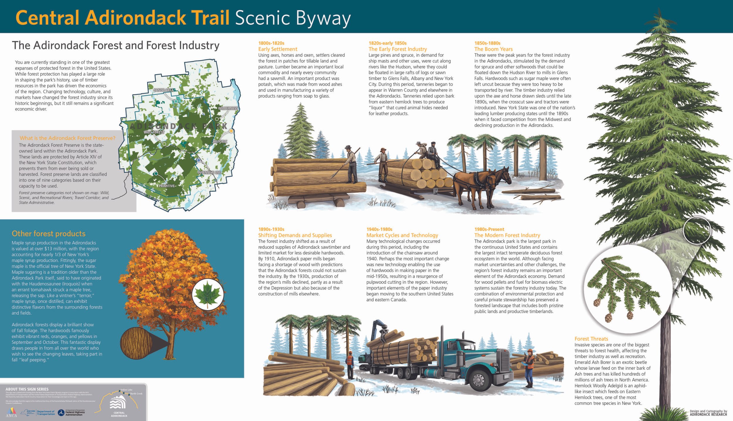 Forest-Industry-scaled.jpeg