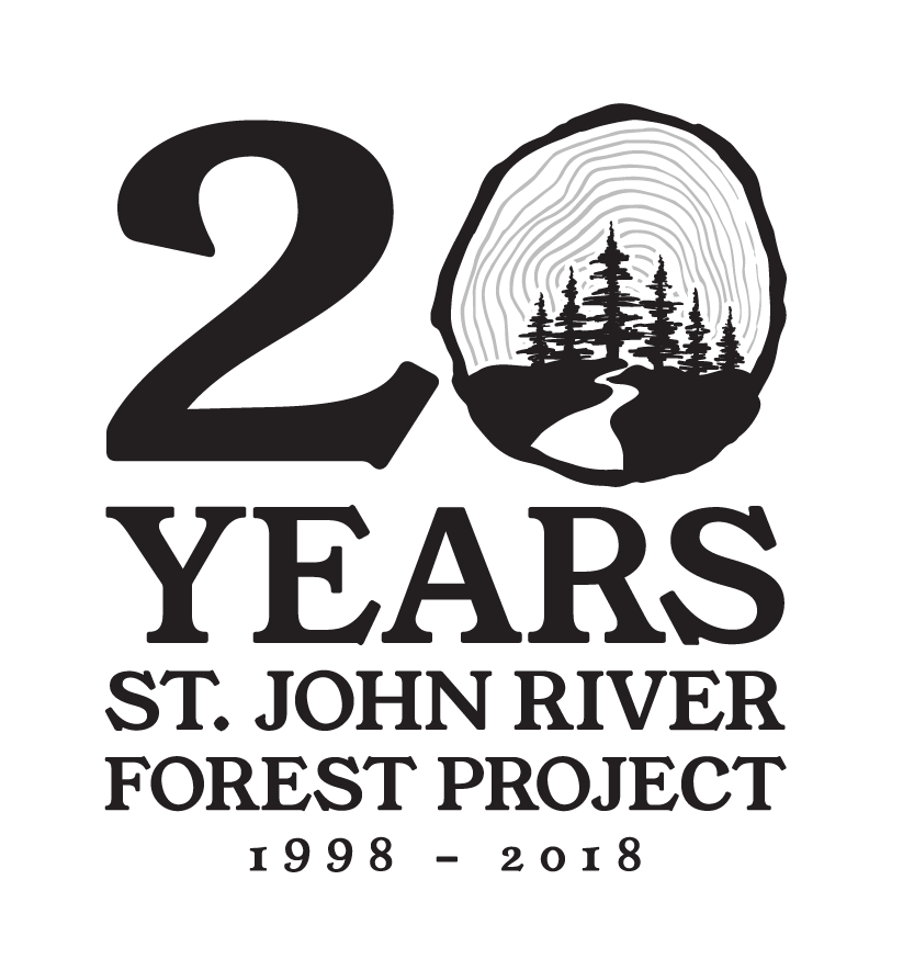 St John 20th logo.png