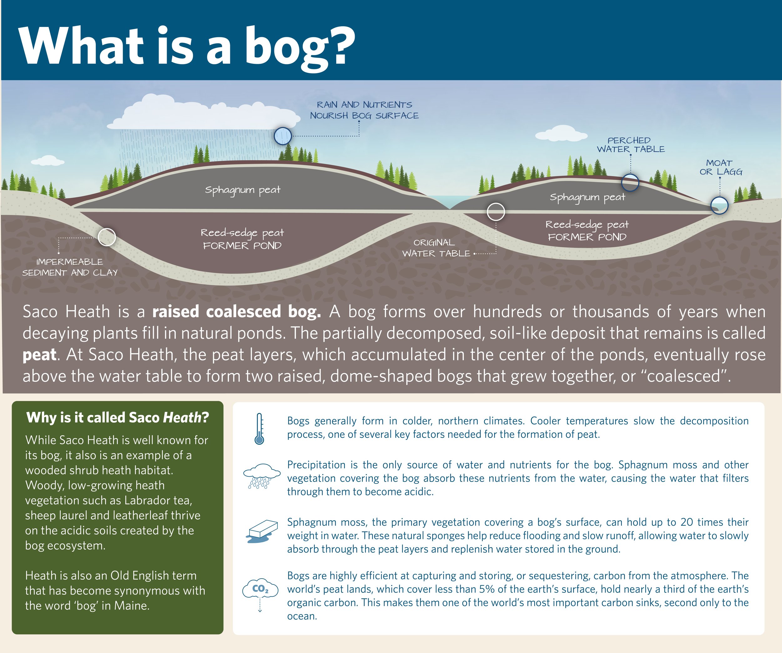 What is a bog.jpg