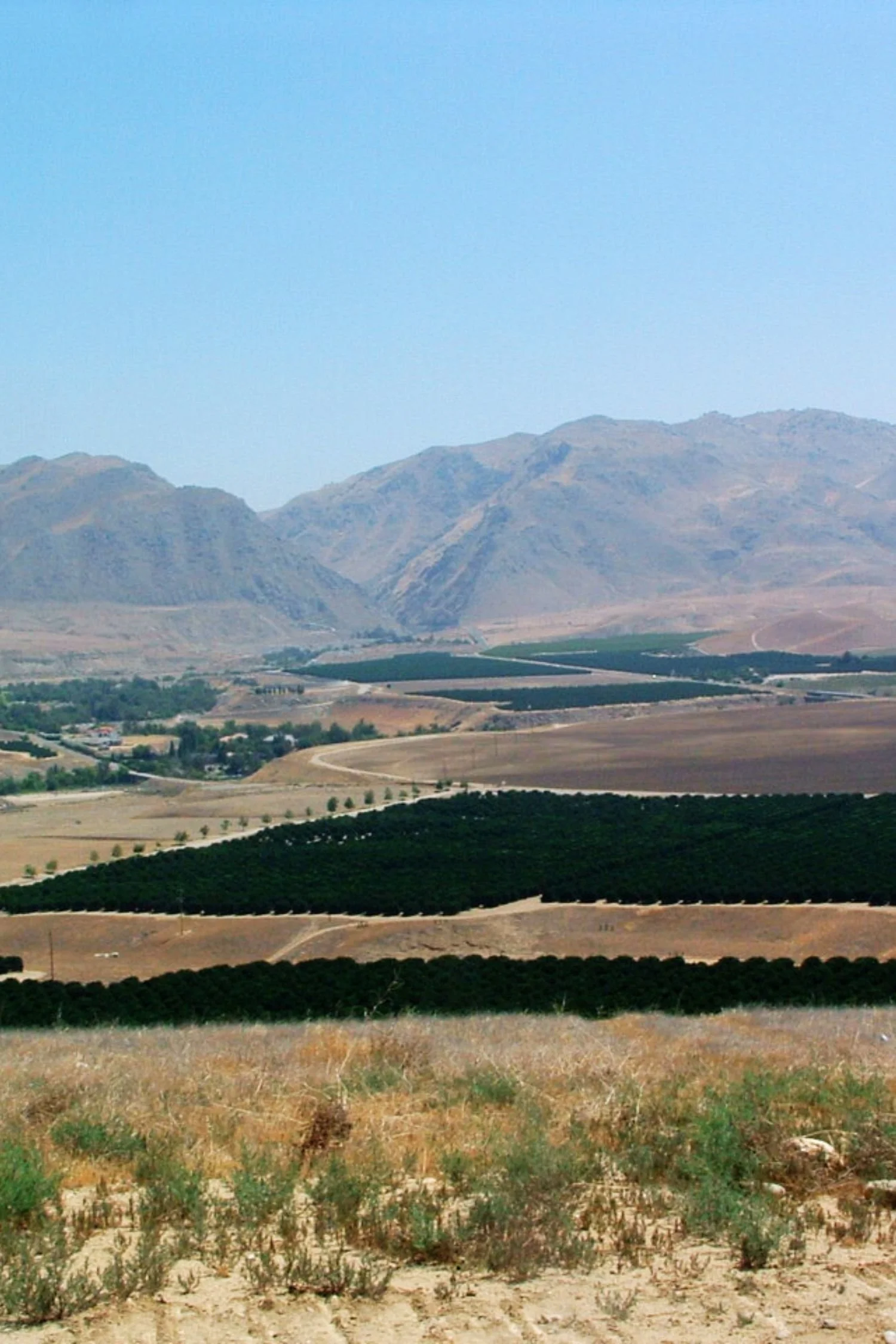 Planning_Featured Project 1.jpg