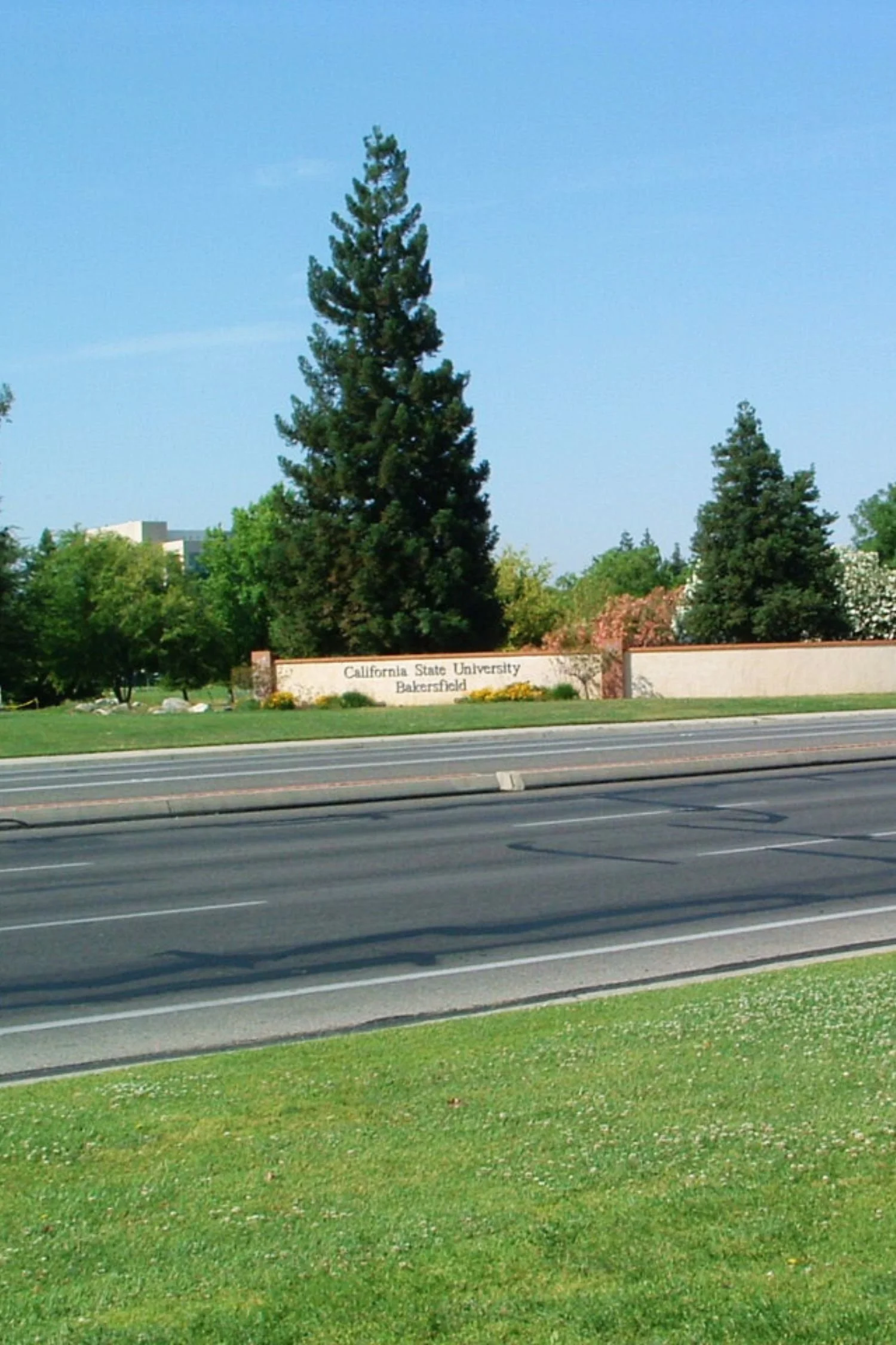 Civil Eng_Featured Project Services - CSUB.jpg