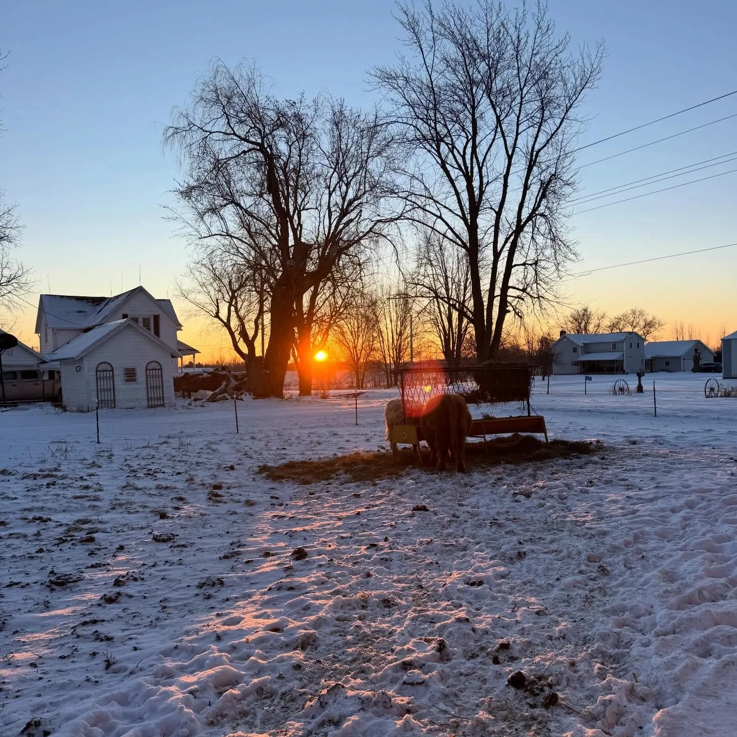 Only 6 more days until vitamin D returns! 👏

This winter has been hard, but also&hellip;always beautiful.
Long days of beyond cold temps, saying goodbye to one of my favorite furry best friends, figuring our the bucket milker in negative temps, welc