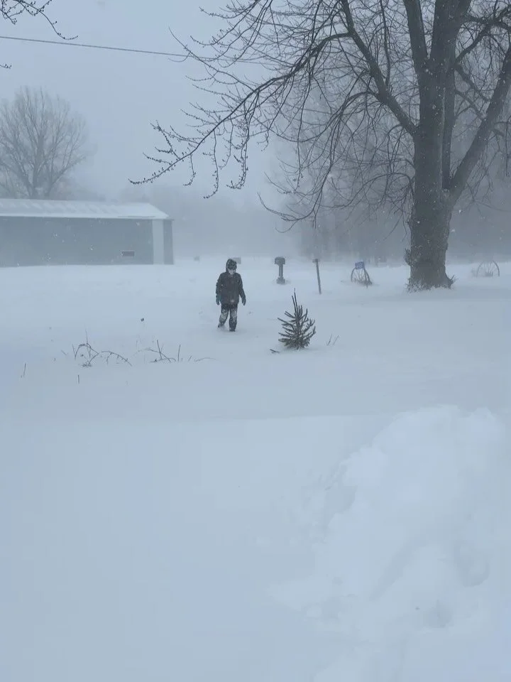 March photo dump 2 &hellip; because in March we had a blizzard and I took too many dog pics. 🥰
#indielanefarm 
#smallfarm
#wisconsinfarm