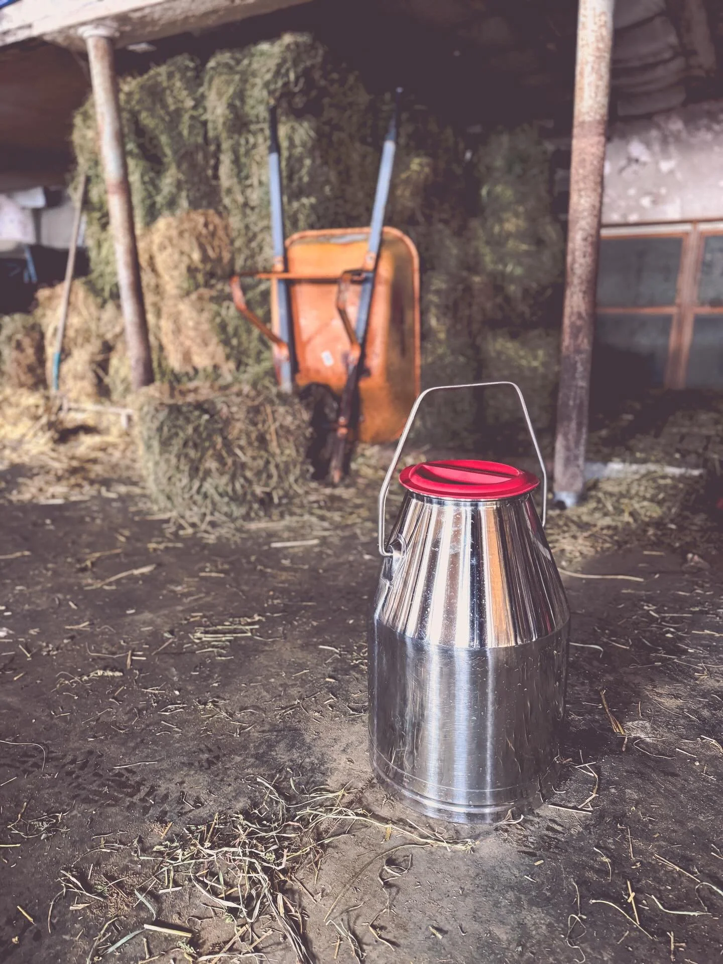 And just like that, we&rsquo;re into May. 
#indielanefarm
#smalldairy