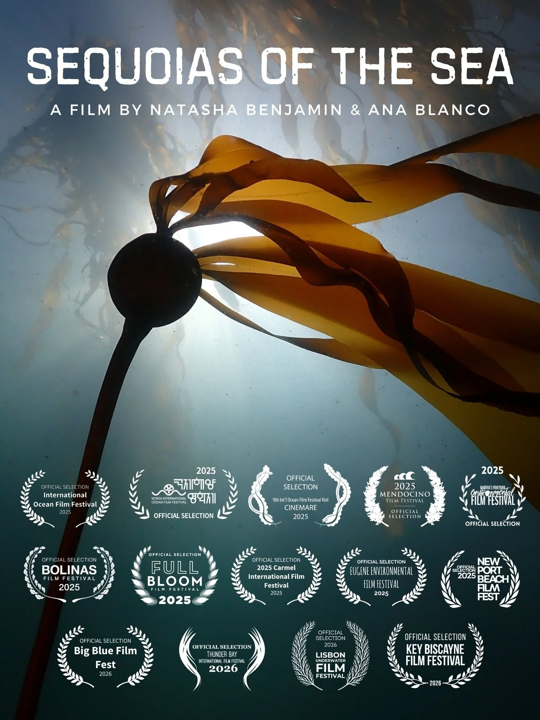Sequoias of the Sea – World Ocean Week Celebration
