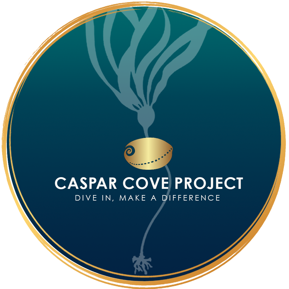 The Caspar Cove Project