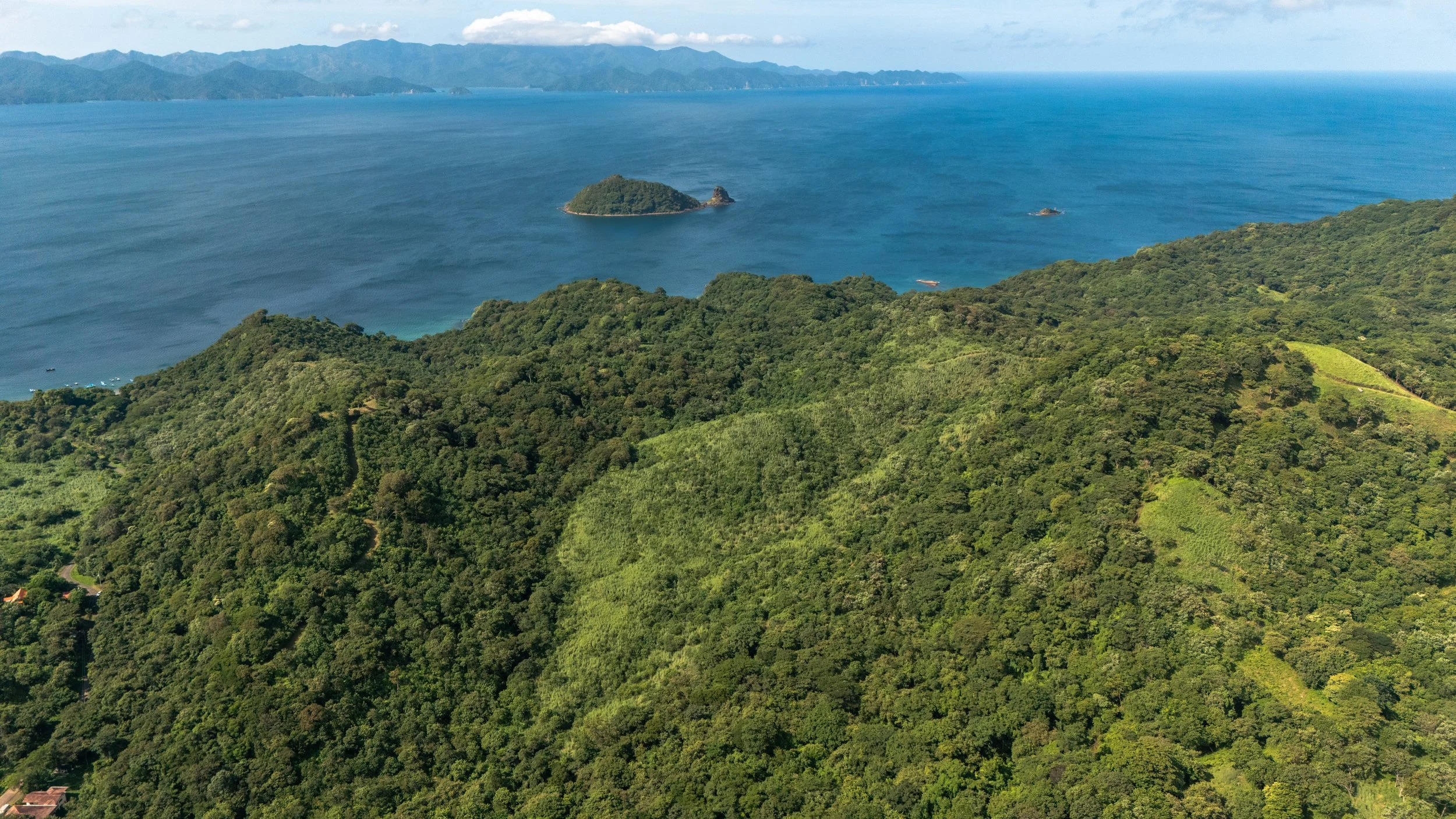 Aura the bay drone-3.jpg