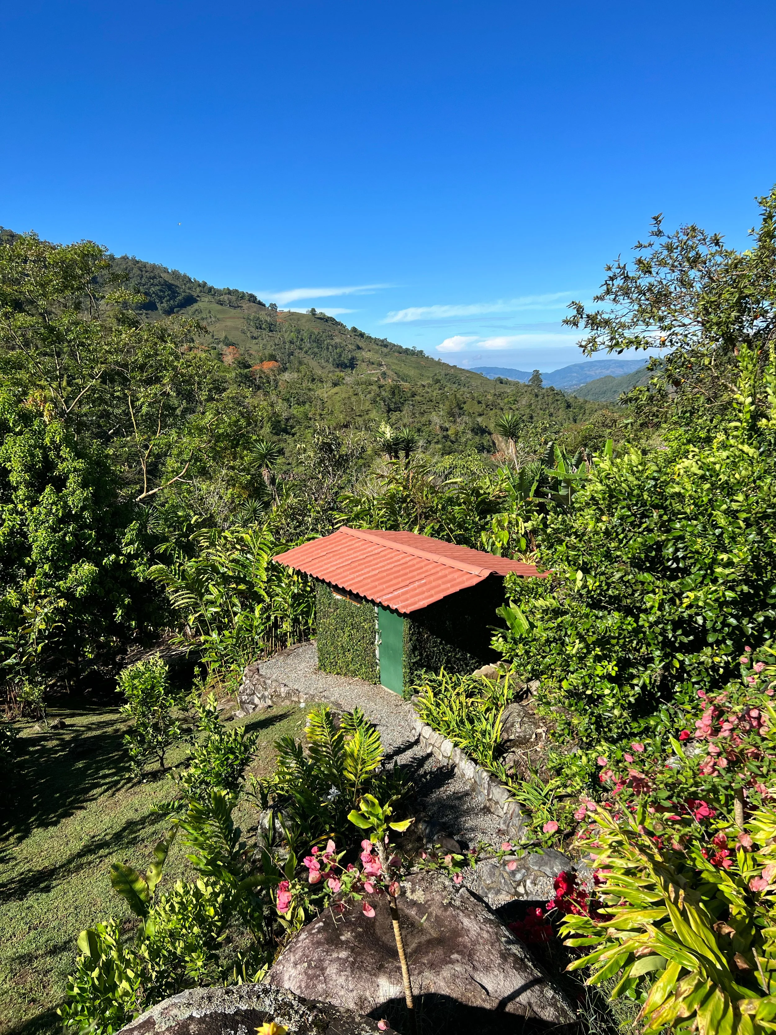 Kayiyana  Bodega.jpg