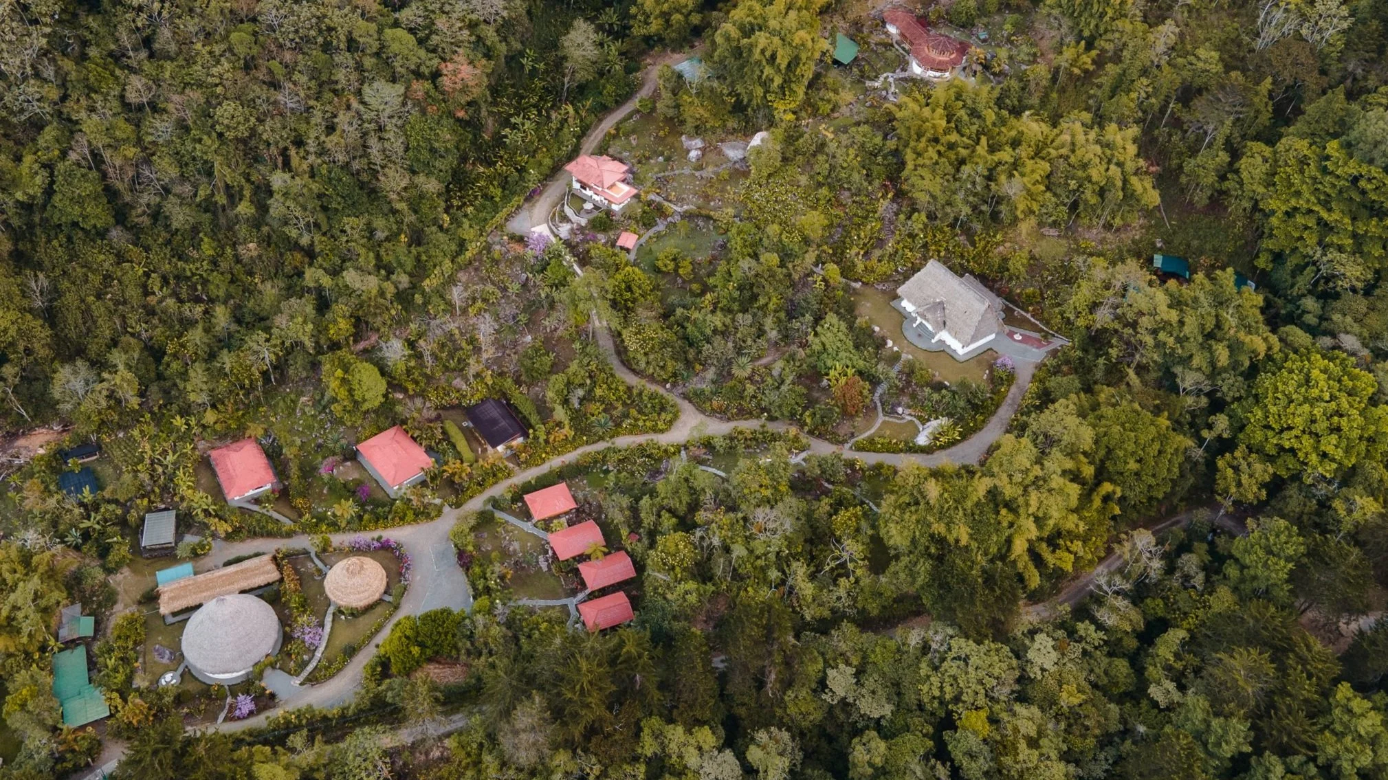 Vista aérea de un complejo de casas y estructuras en medio de un bosque denso con caminos sinuosos