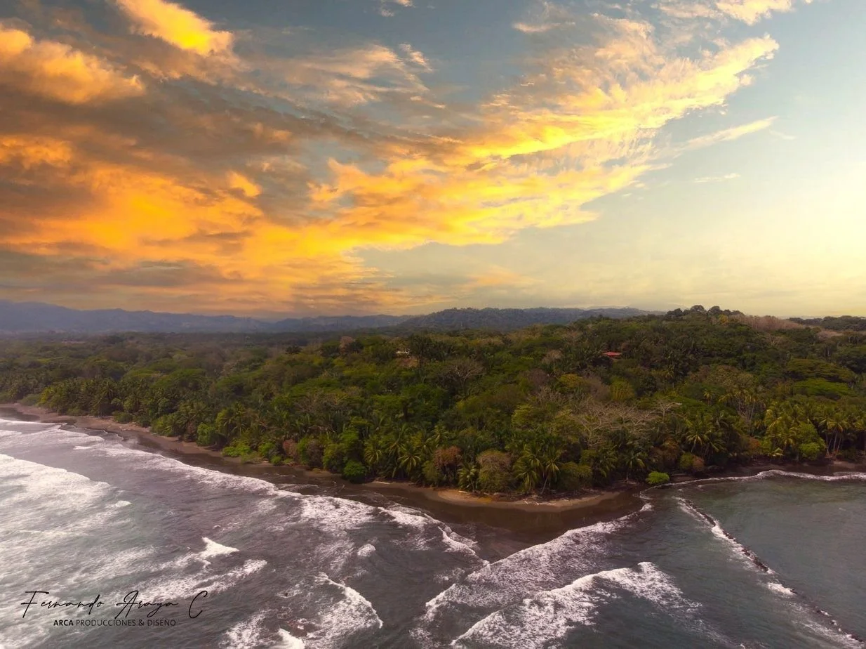 WhatsApp Image 2024-05-30 at 20.43.07.jpeg