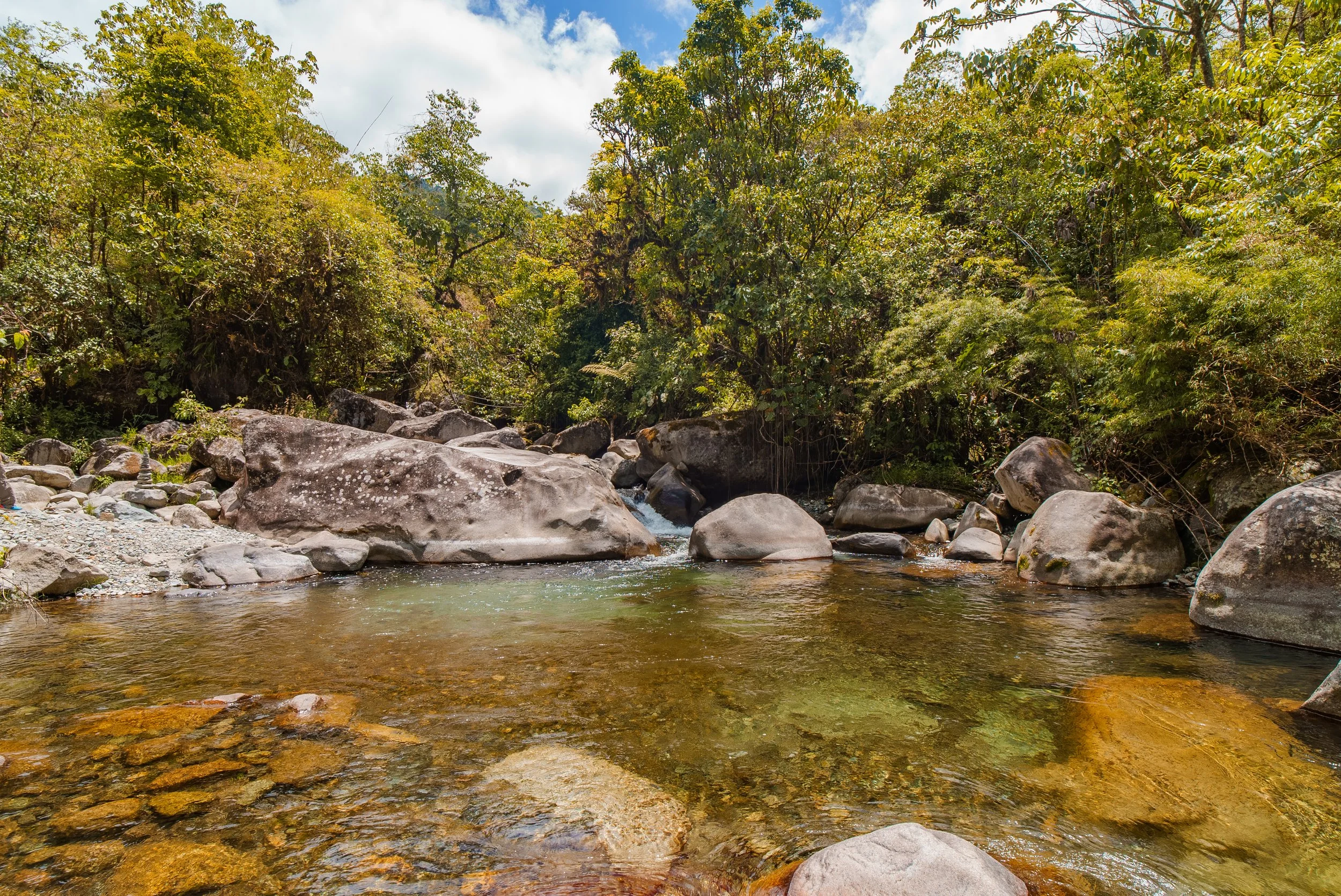 Río de agua clara rodeado de rocas y vegetación abundante en un entorno natural.