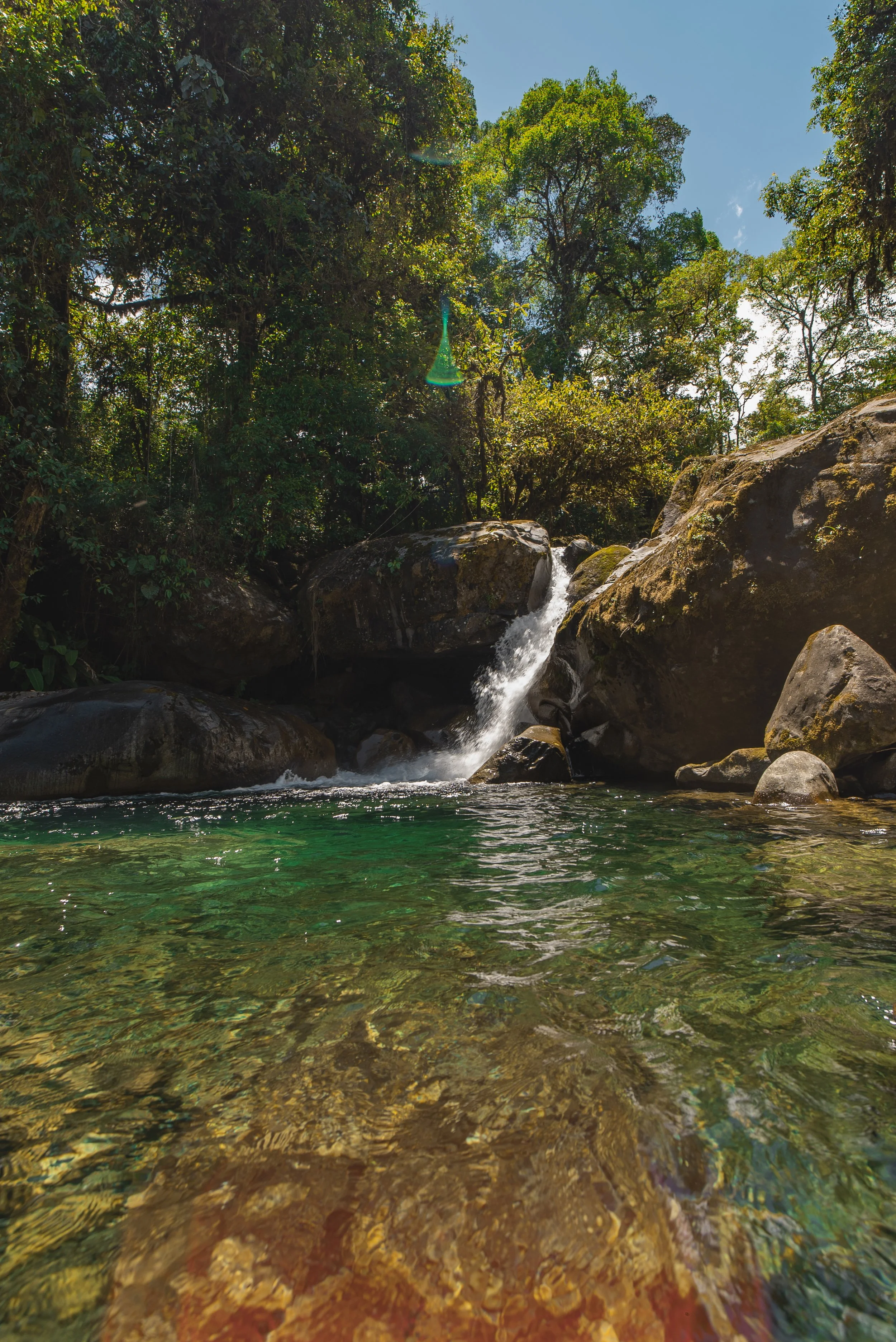 Un río de aguas claras y verdes en medio de un bosque con árboles altos, con una pequeña cascada que cae sobre rocas grandes y lisas, bajo un cielo azul despejado.