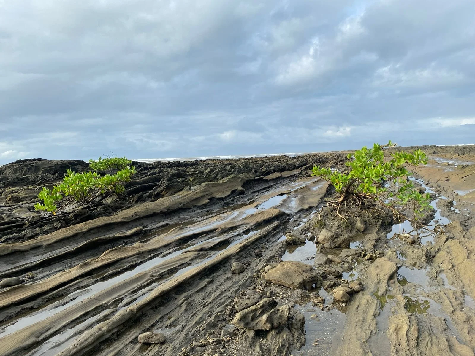 WhatsApp Image 2024-05-30 at 20.43.08.jpeg