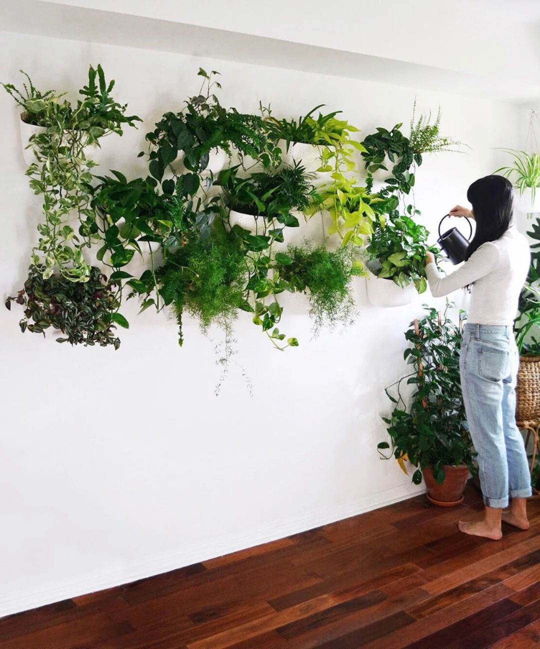 Wally Grow Inspiration 2.jpg