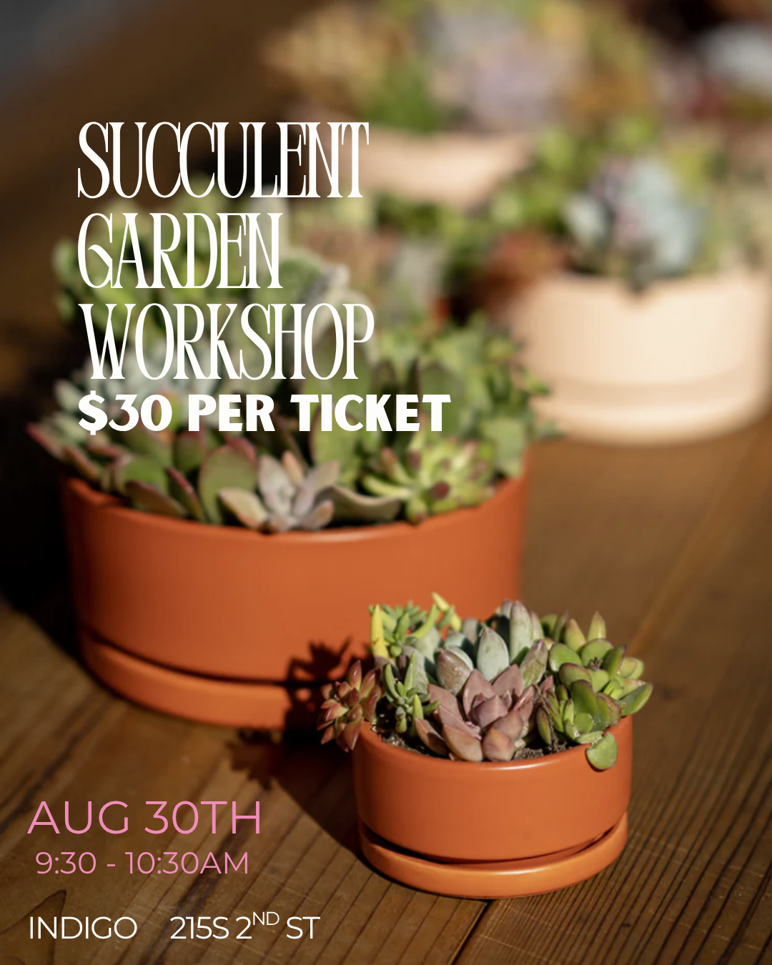Copy of Terrarium Workshop (1).png