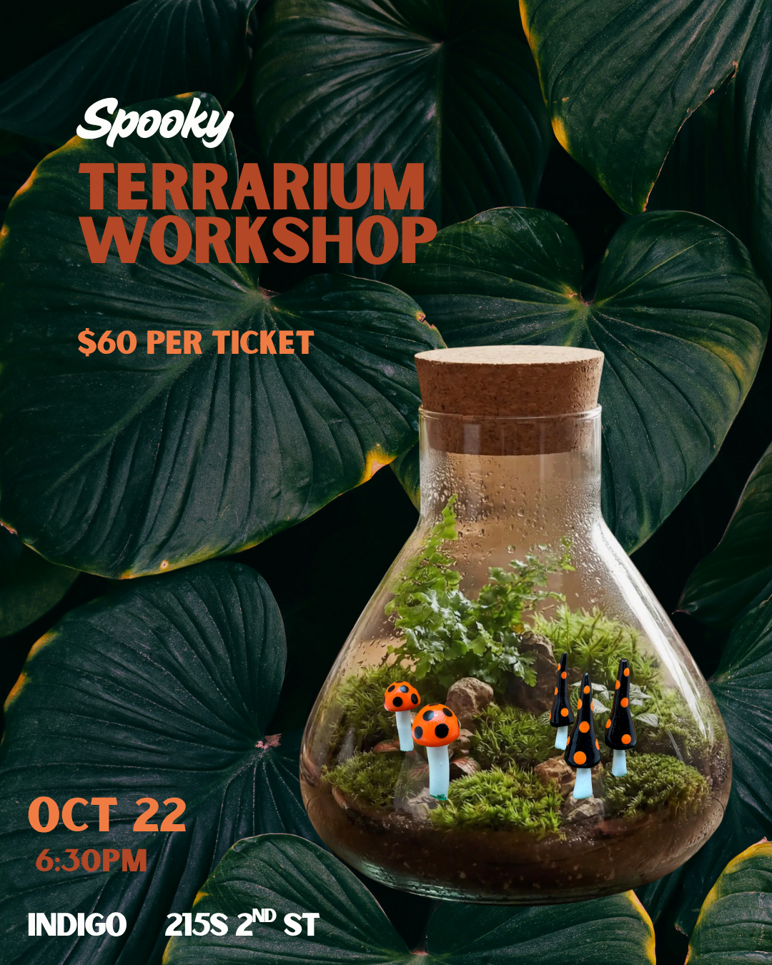 Copy of Terrarium Workshop (4).png
