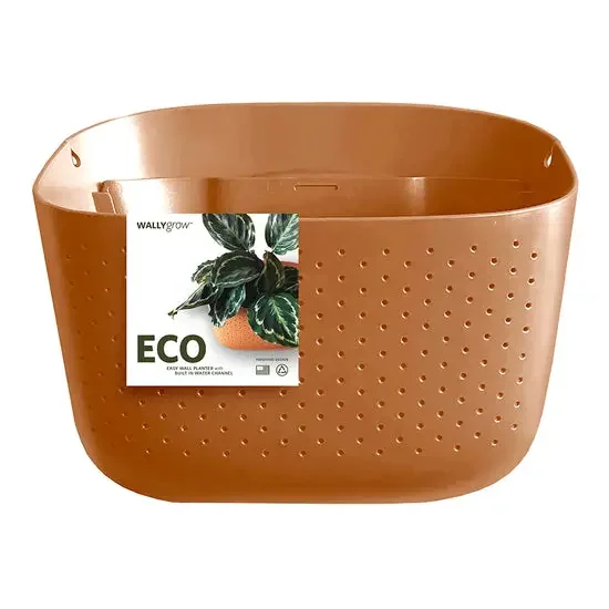 Wally Grow Terra Cotta.webp